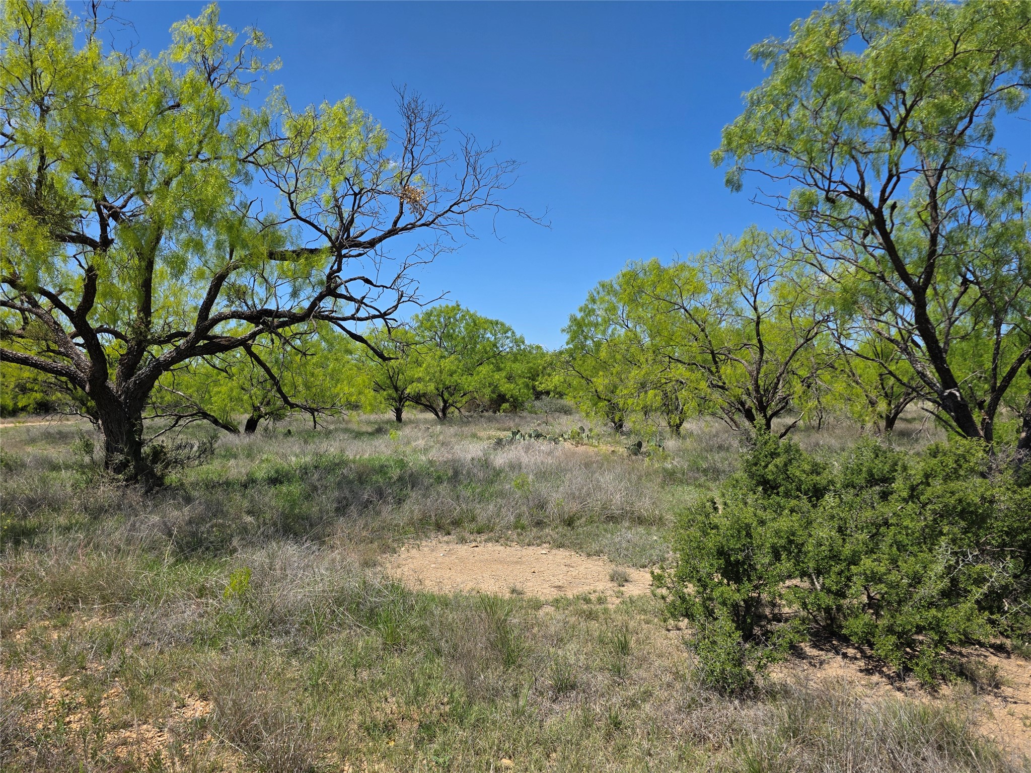 1709 County Road 330 Voss TX 76888