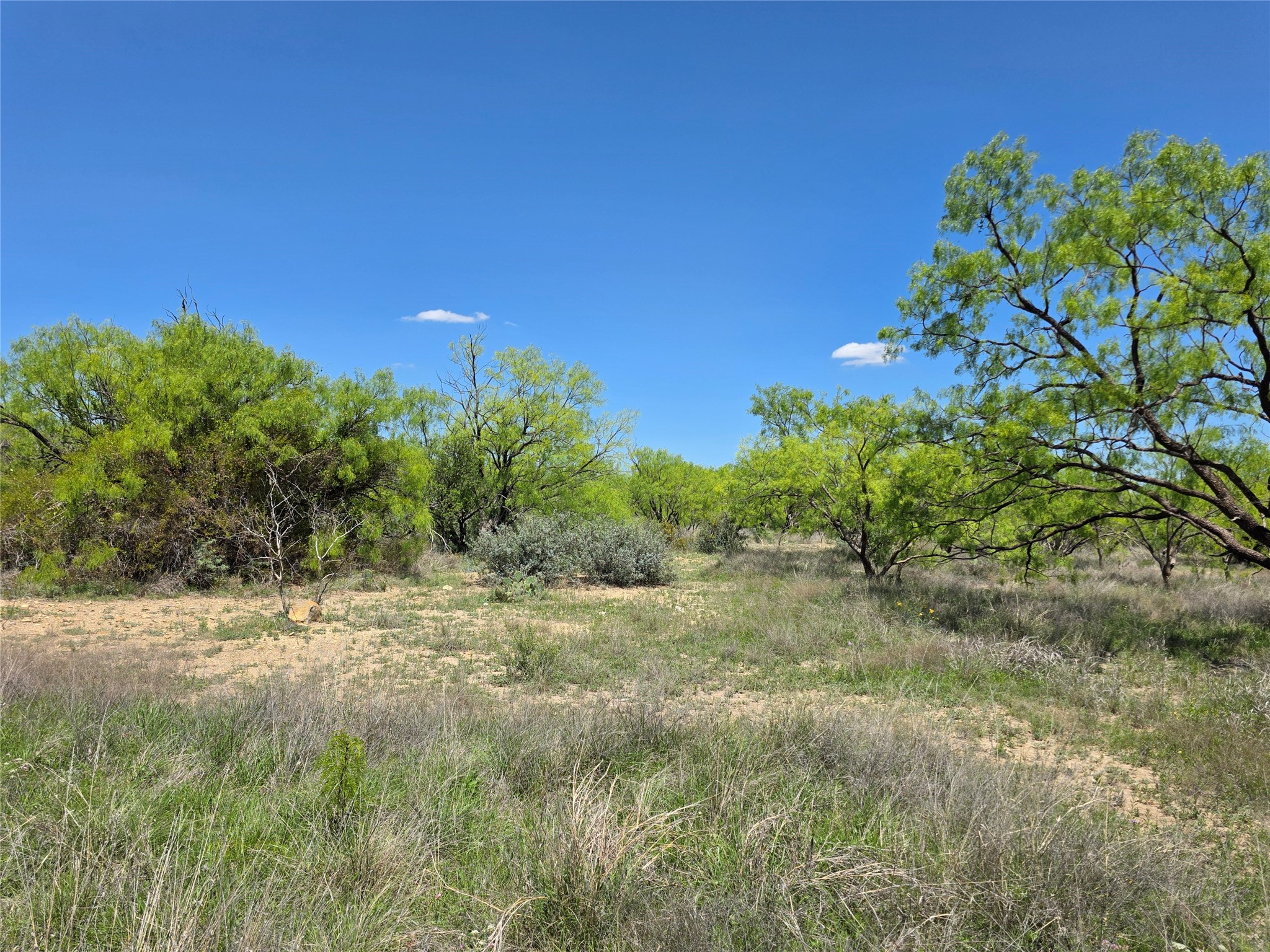 1709 County Road 330 Voss TX 76888
