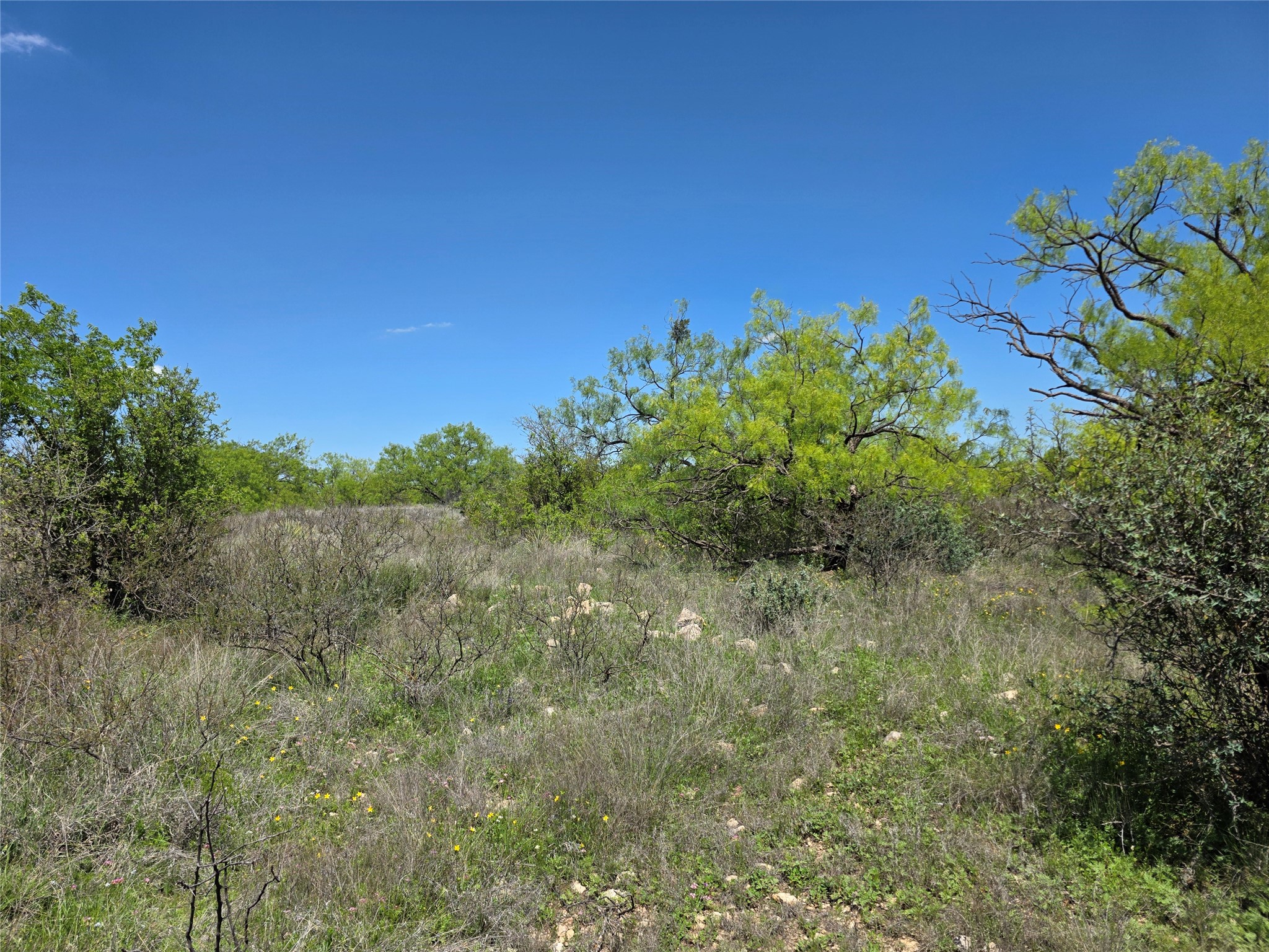 1709 County Road 330 Voss TX 76888