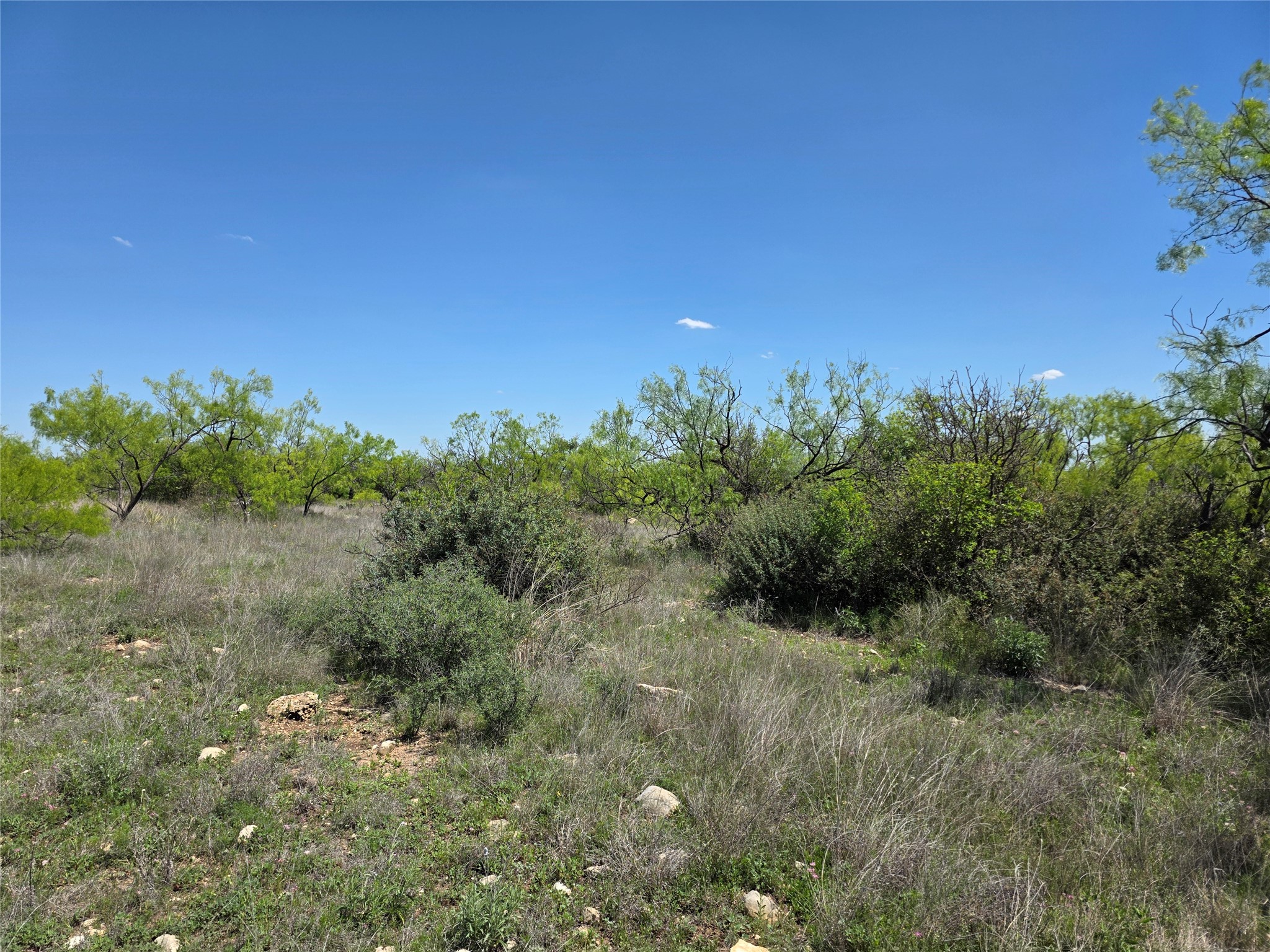 1709 County Road 330 Voss TX 76888