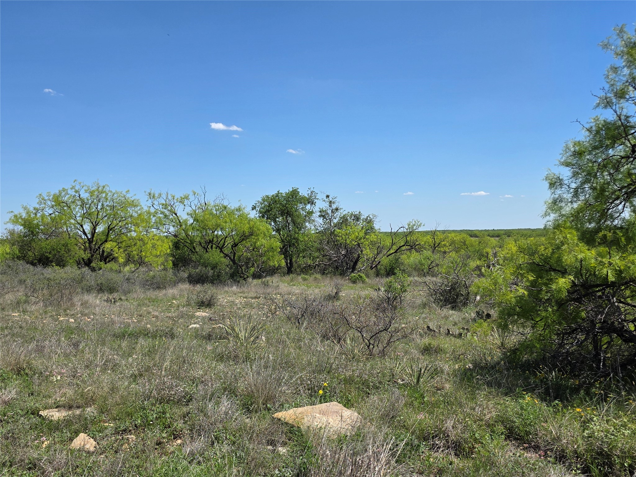 1709 County Road 330 Voss TX 76888