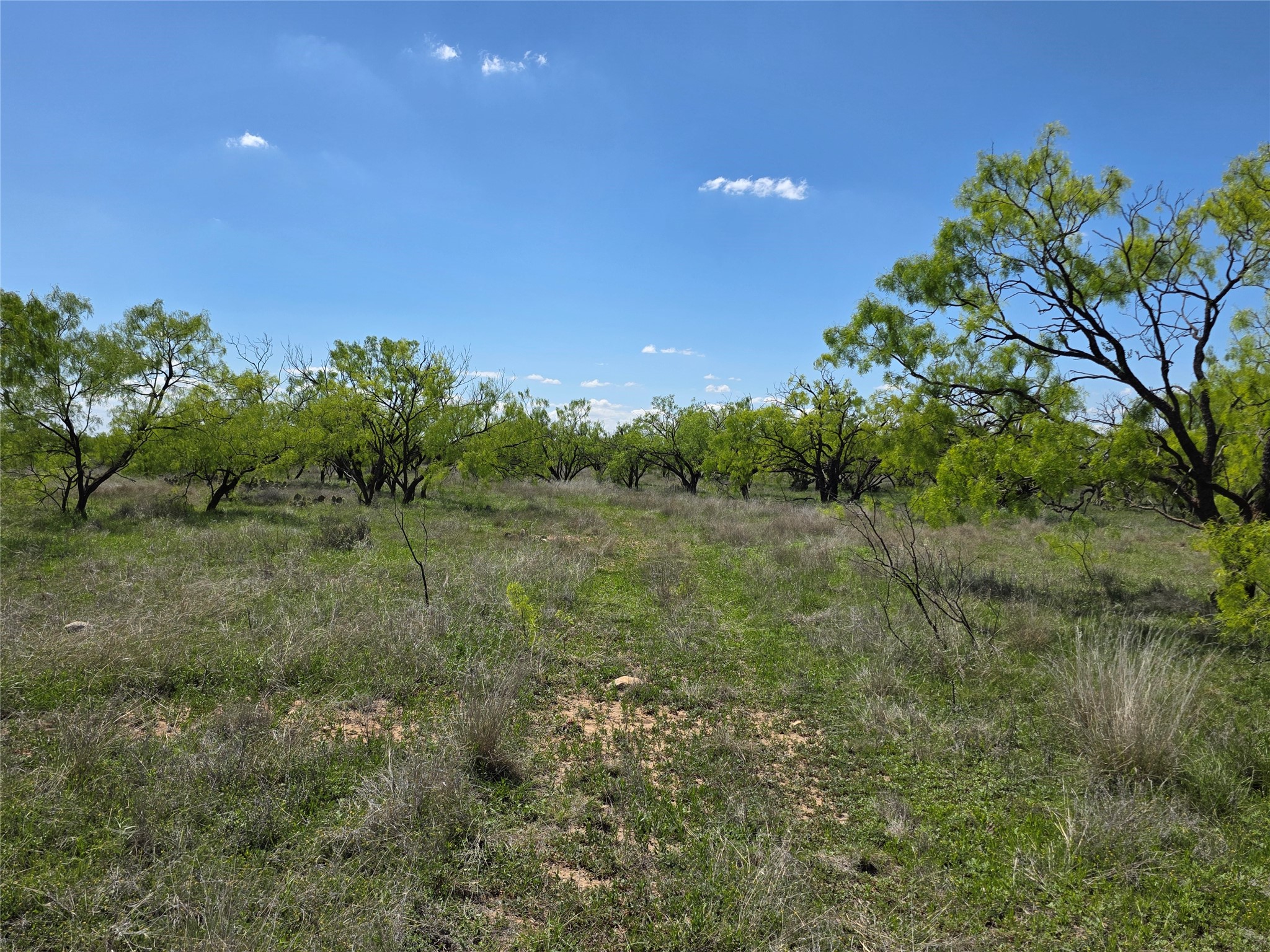 1709 County Road 330 Voss TX 76888