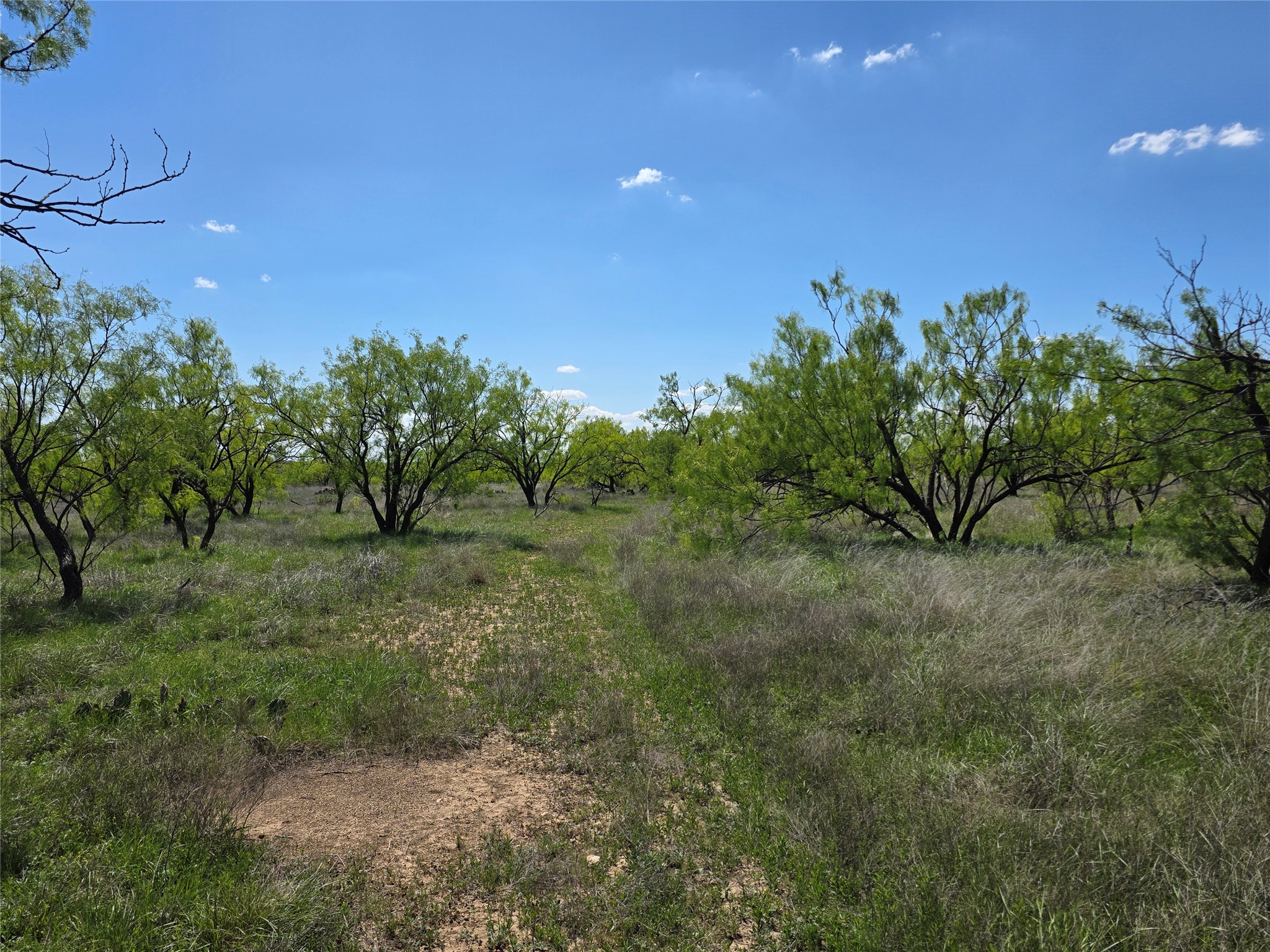1709 County Road 330 Voss TX 76888