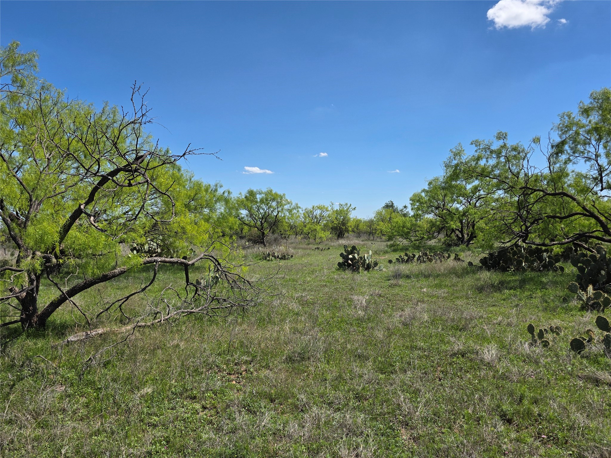 1709 County Road 330 Voss TX 76888
