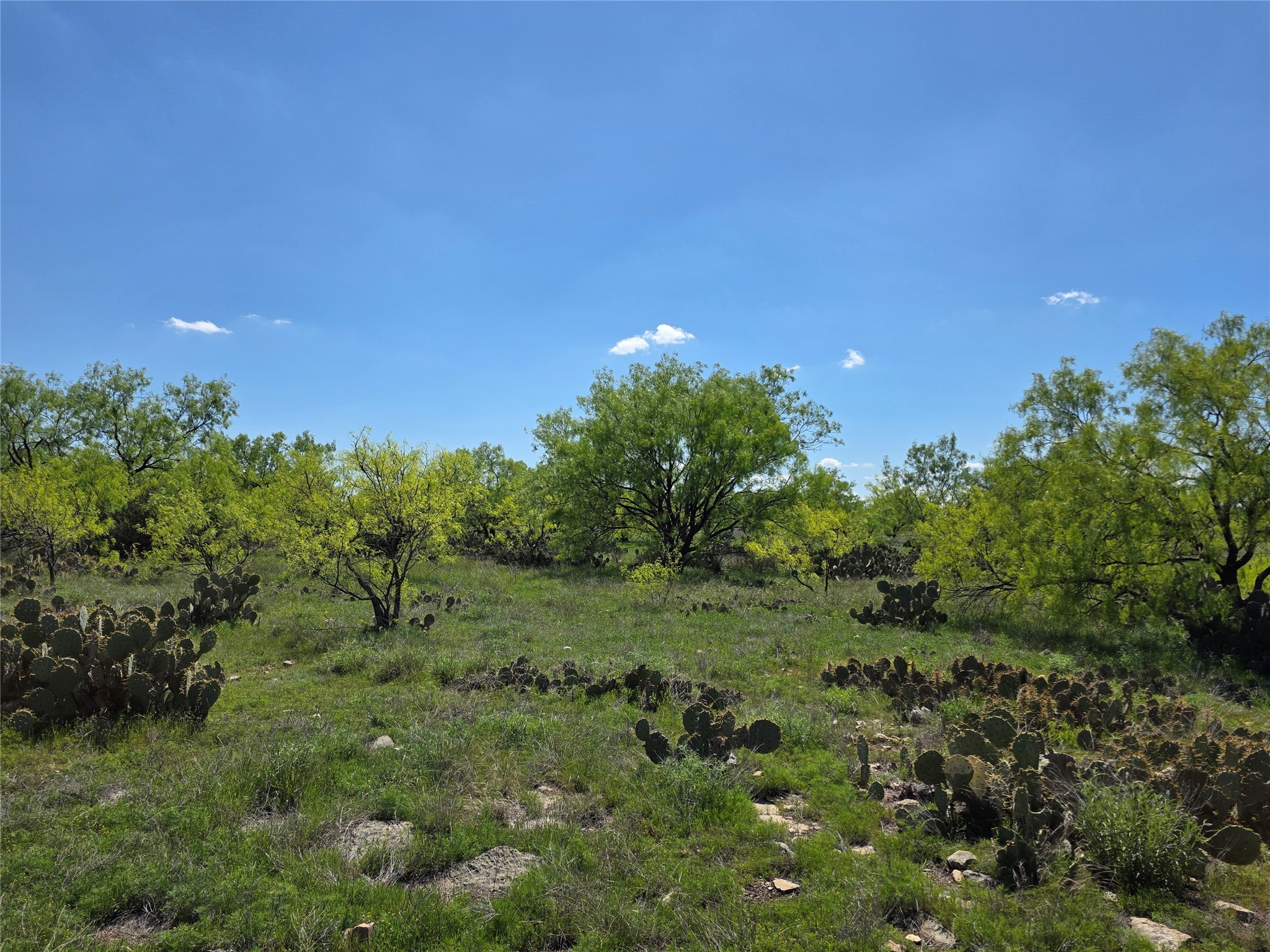 1709 County Road 330 Voss TX 76888