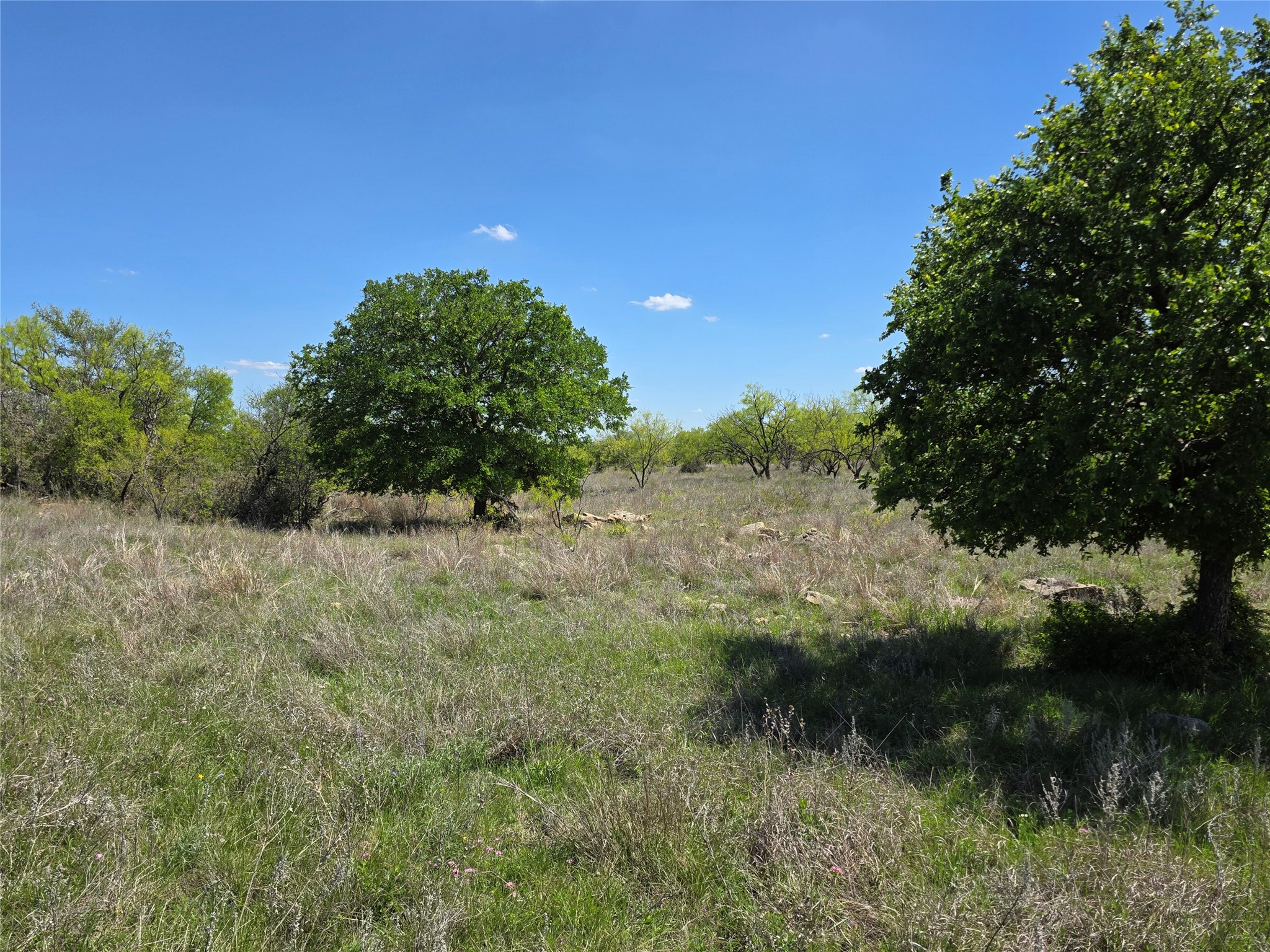 1709 County Road 330 Voss TX 76888