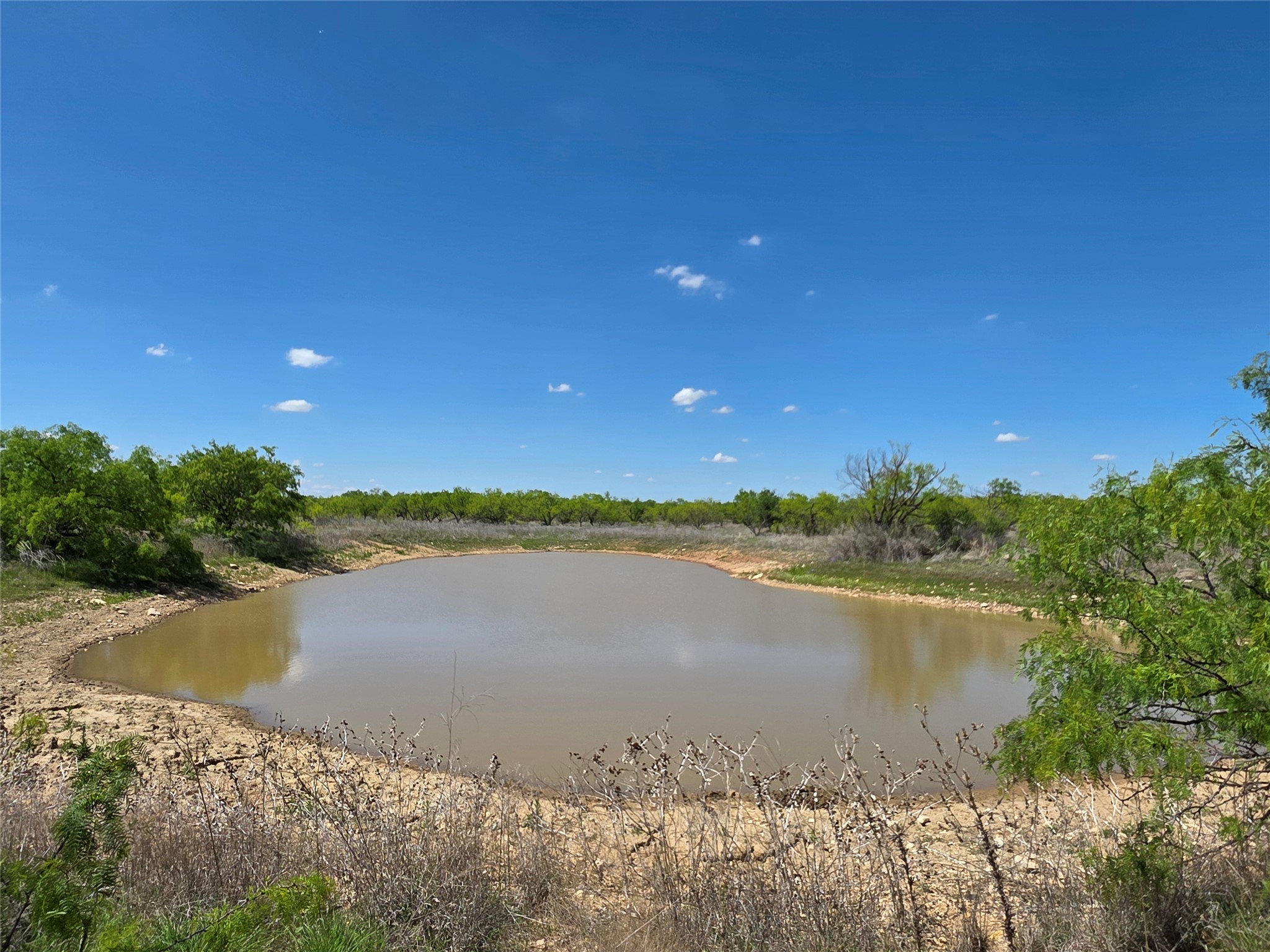 1709 County Road 330 Voss TX 76888