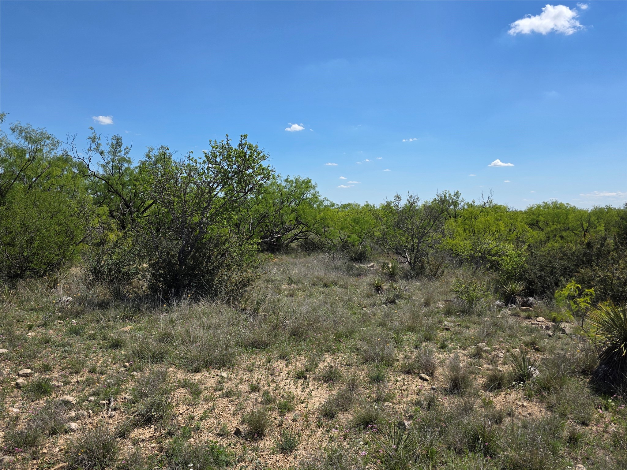 1709 County Road 330 Voss TX 76888