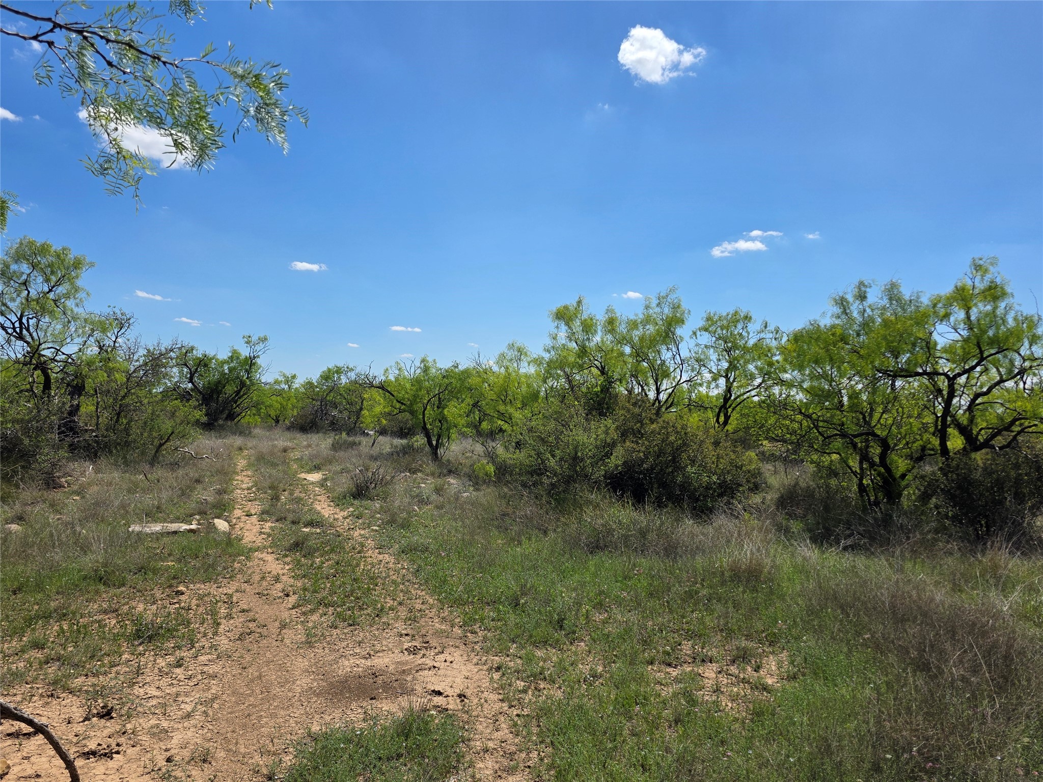 1709 County Road 330 Voss TX 76888