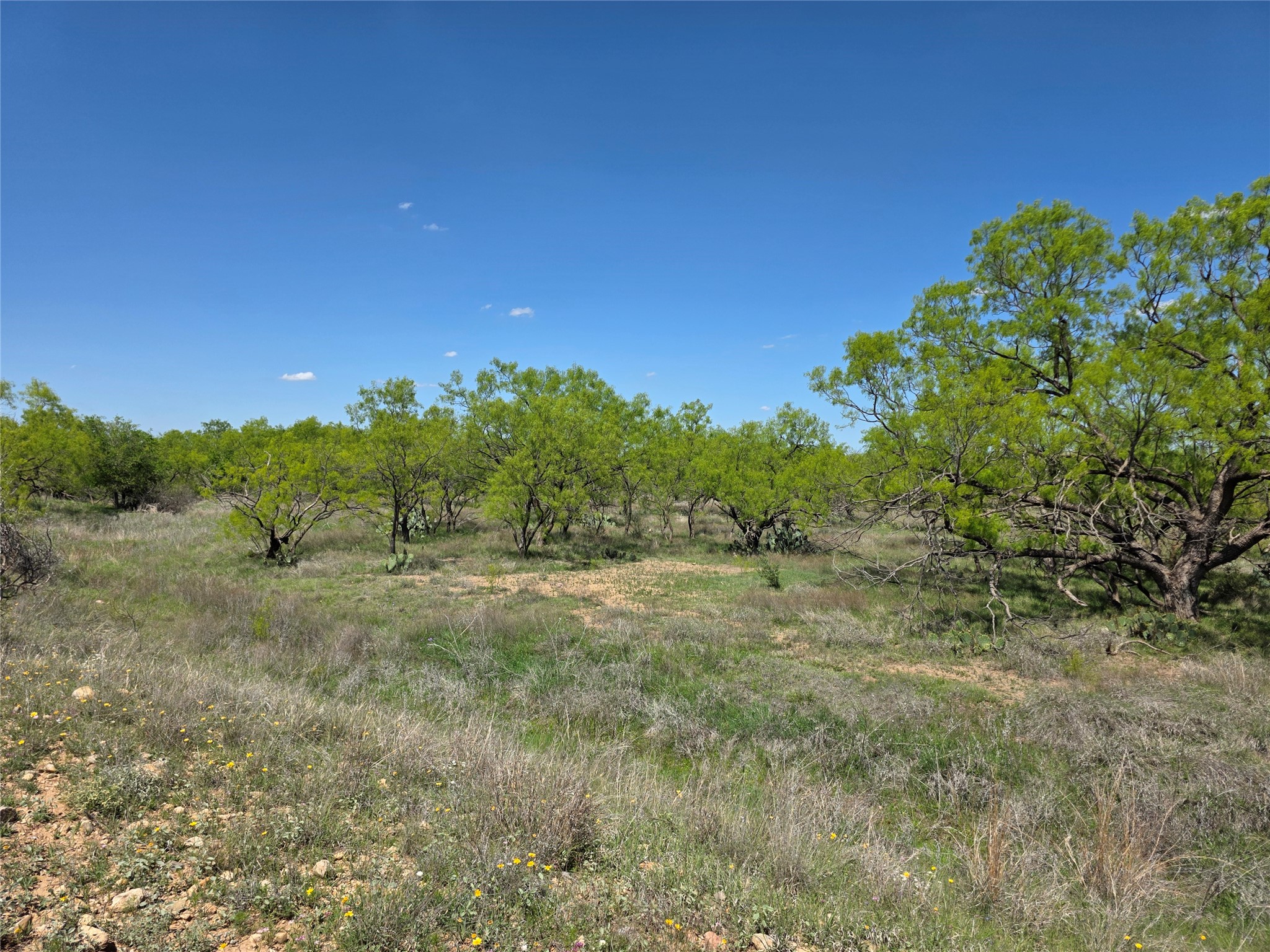 1709 County Road 330 Voss TX 76888