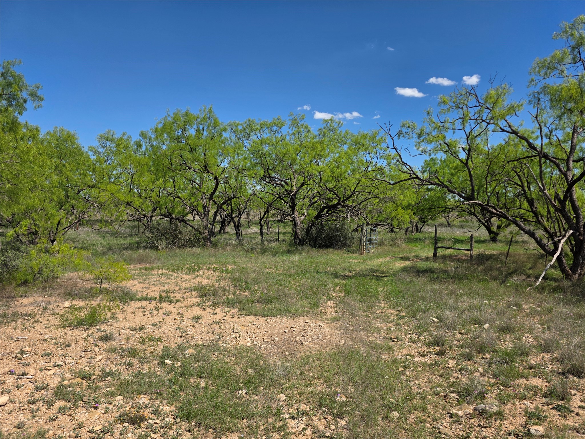 1709 County Road 330 Voss TX 76888