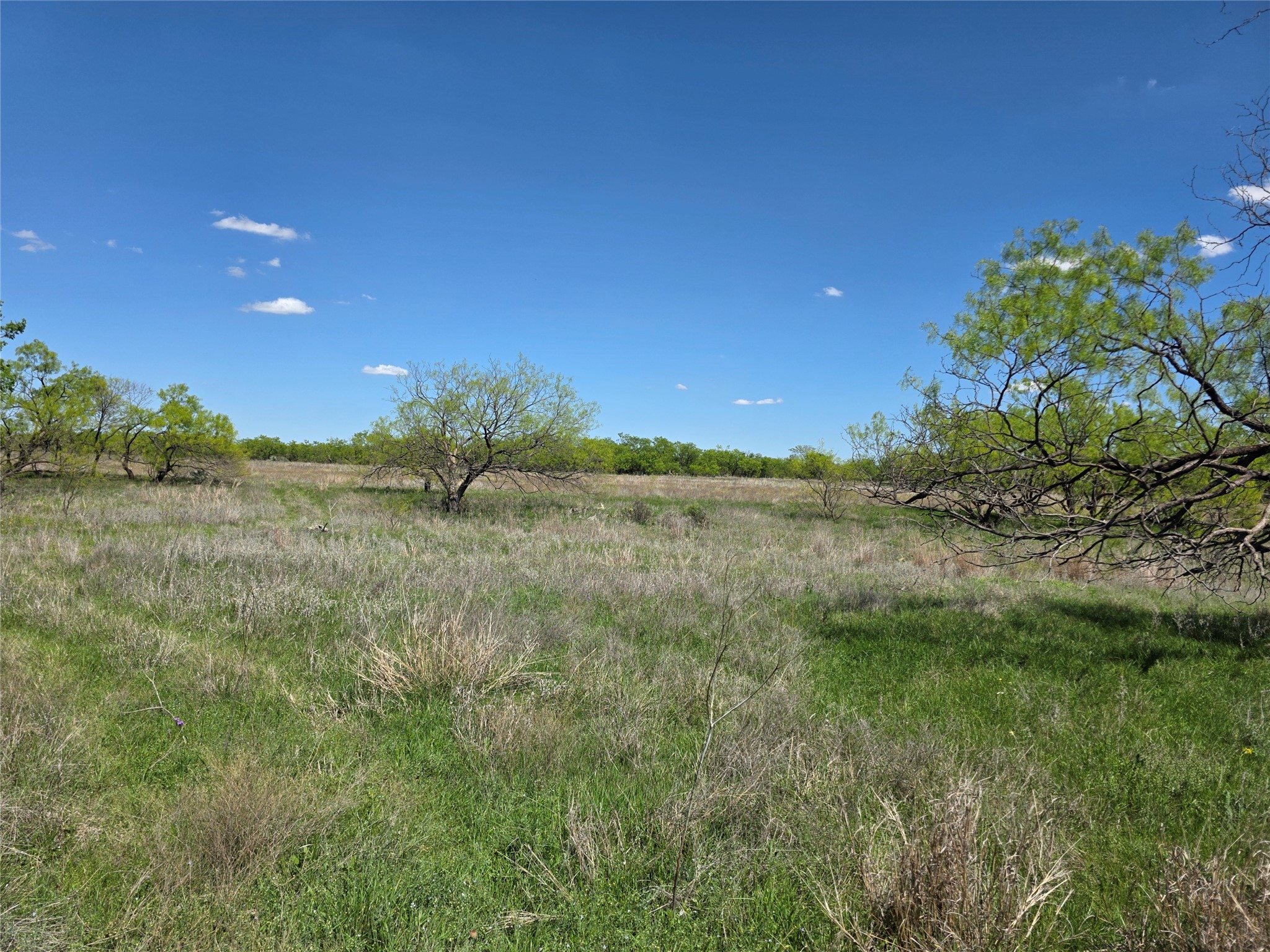 1709 County Road 330 Voss TX 76888