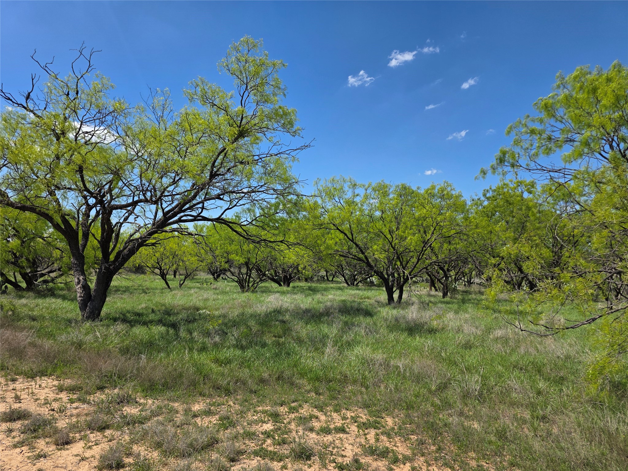 1709 County Road 330 Voss TX 76888