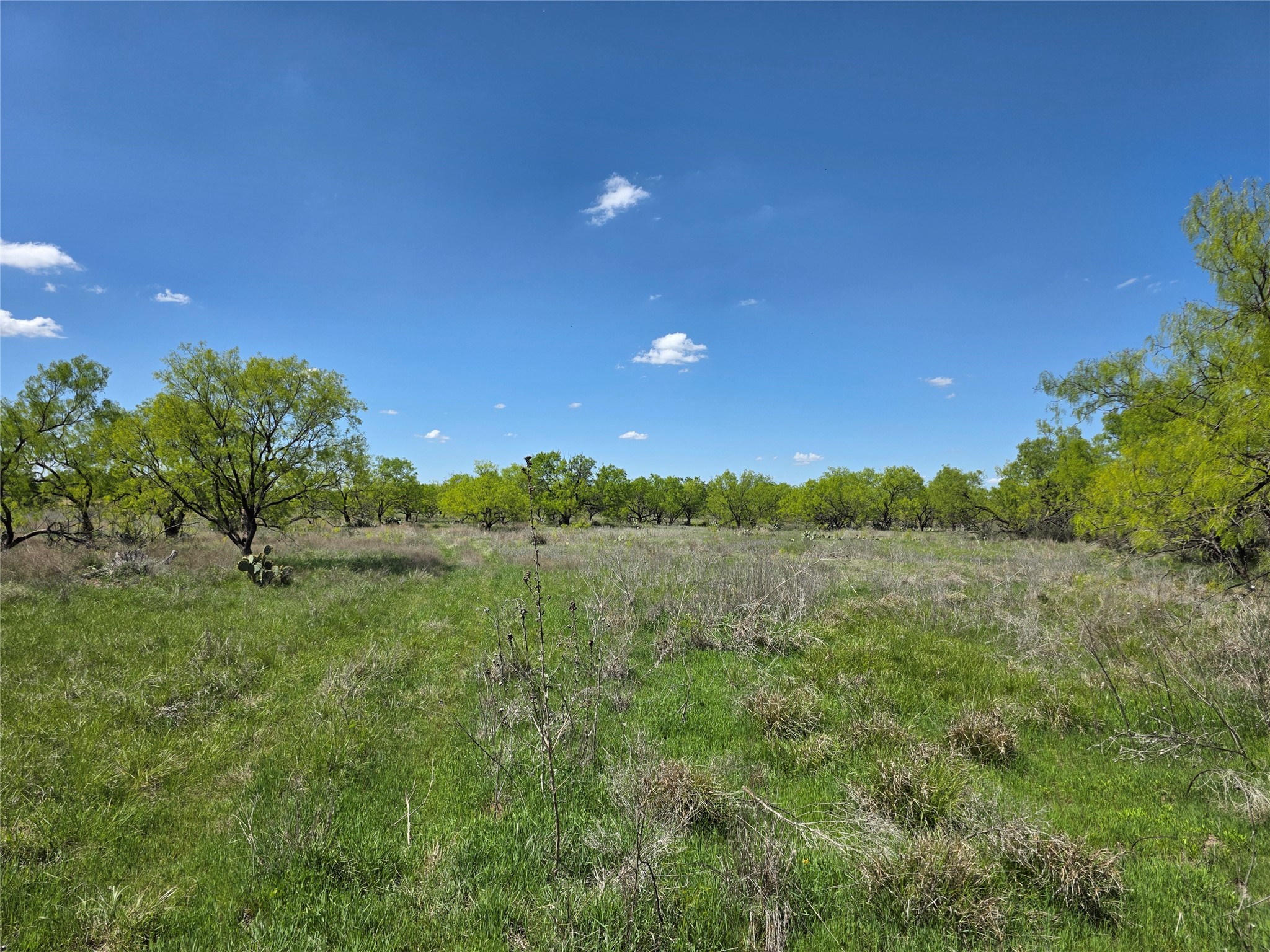 1709 County Road 330 Voss TX 76888