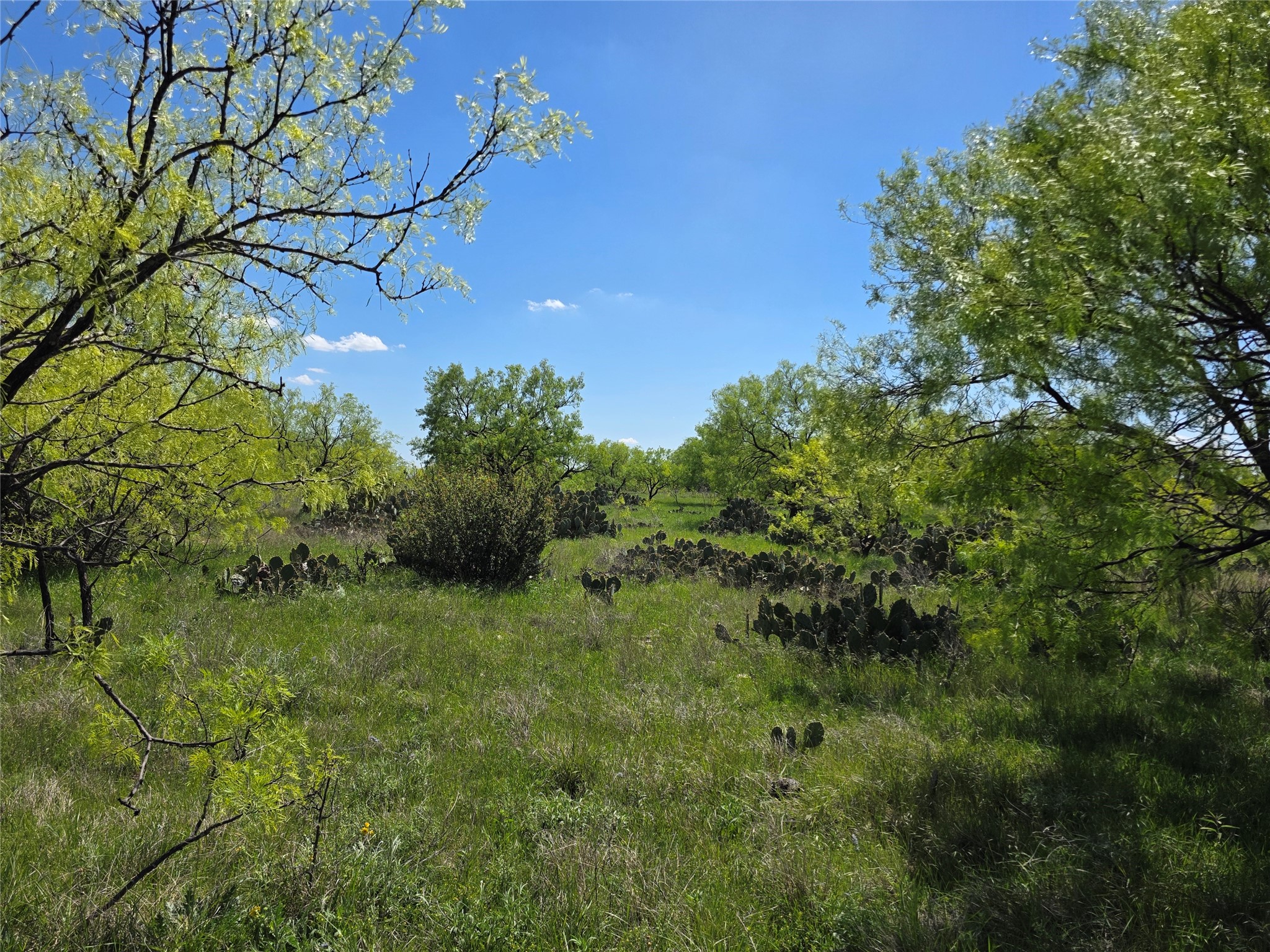1709 County Road 330 Voss TX 76888