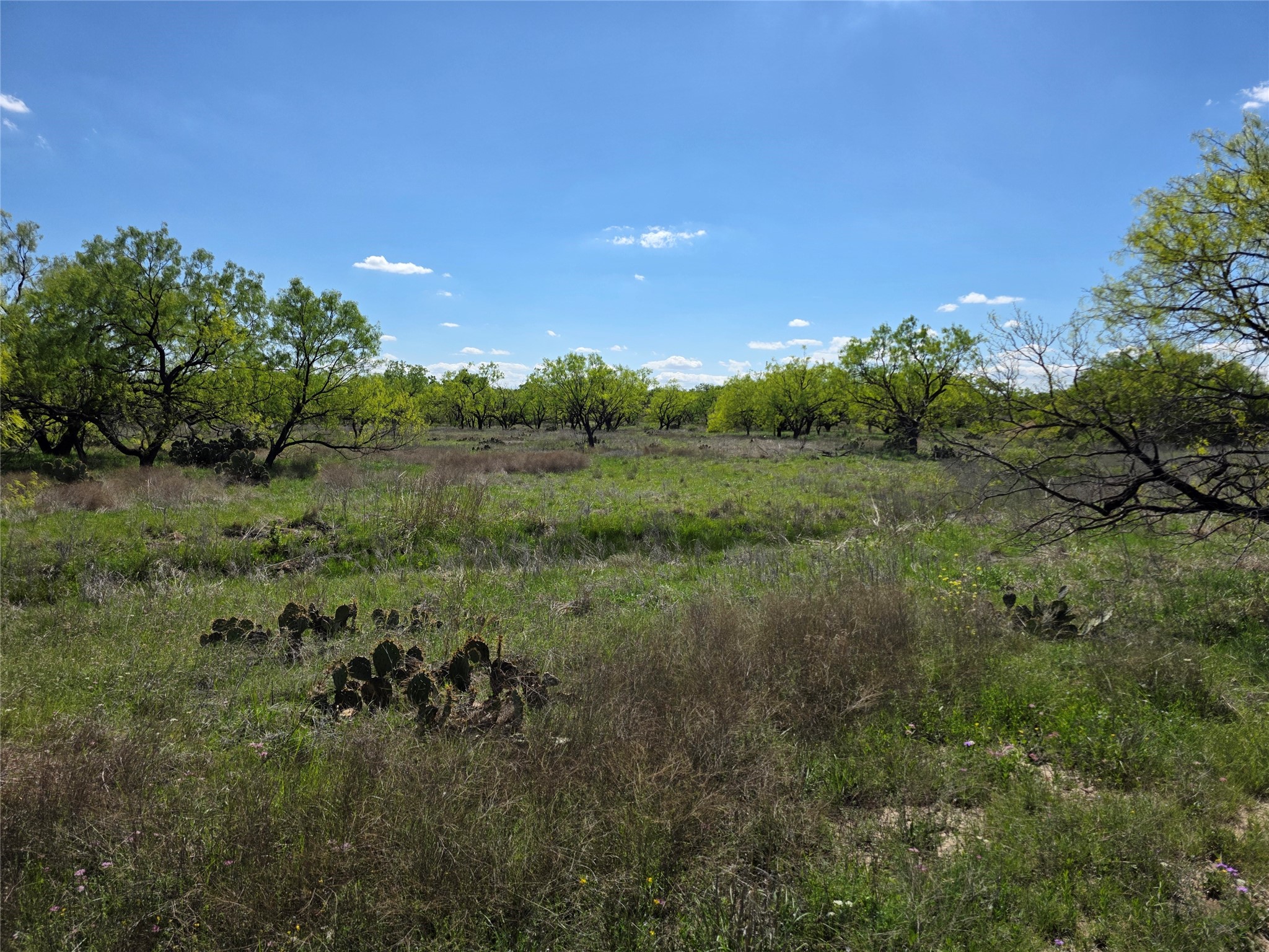 1709 County Road 330 Voss TX 76888