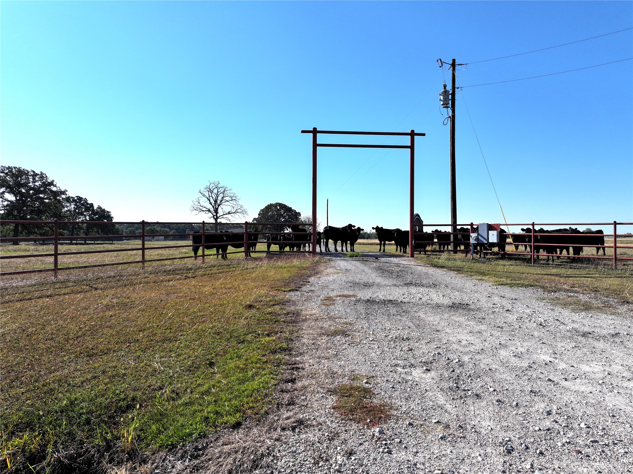 800 Vz County Road 2807 Mabank TX 75147