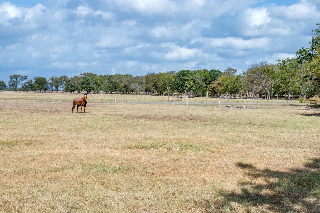 800 Vz County Road 2807 Mabank TX 75147