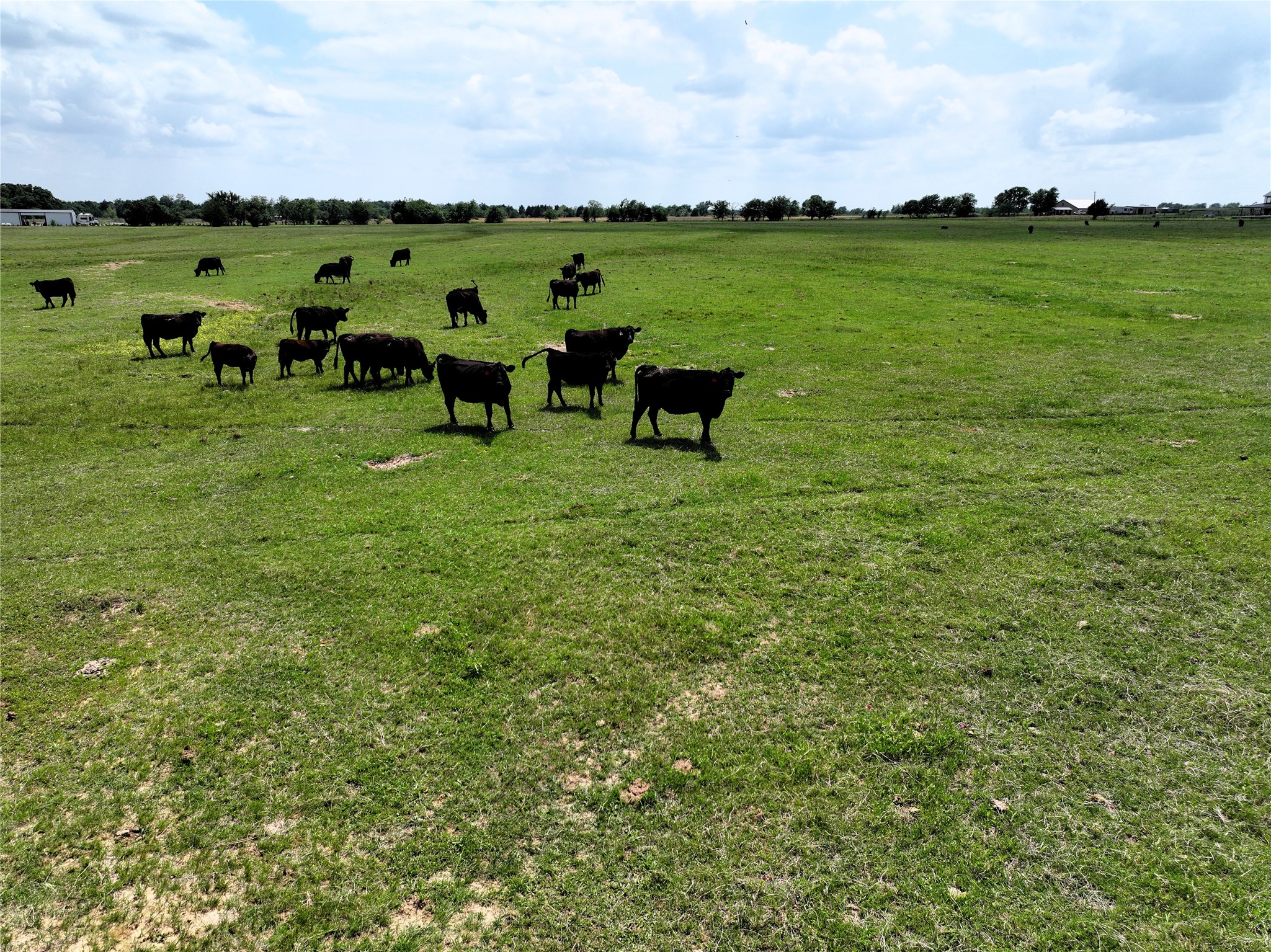 800 Vz County Road 2807 Mabank TX 75147