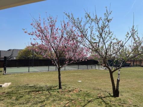1900 Durance Court Corinth TX 76210