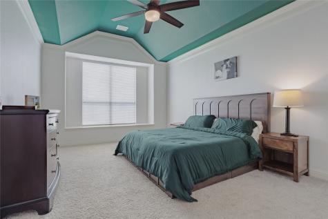 254 Cox Drive Fate TX 75087