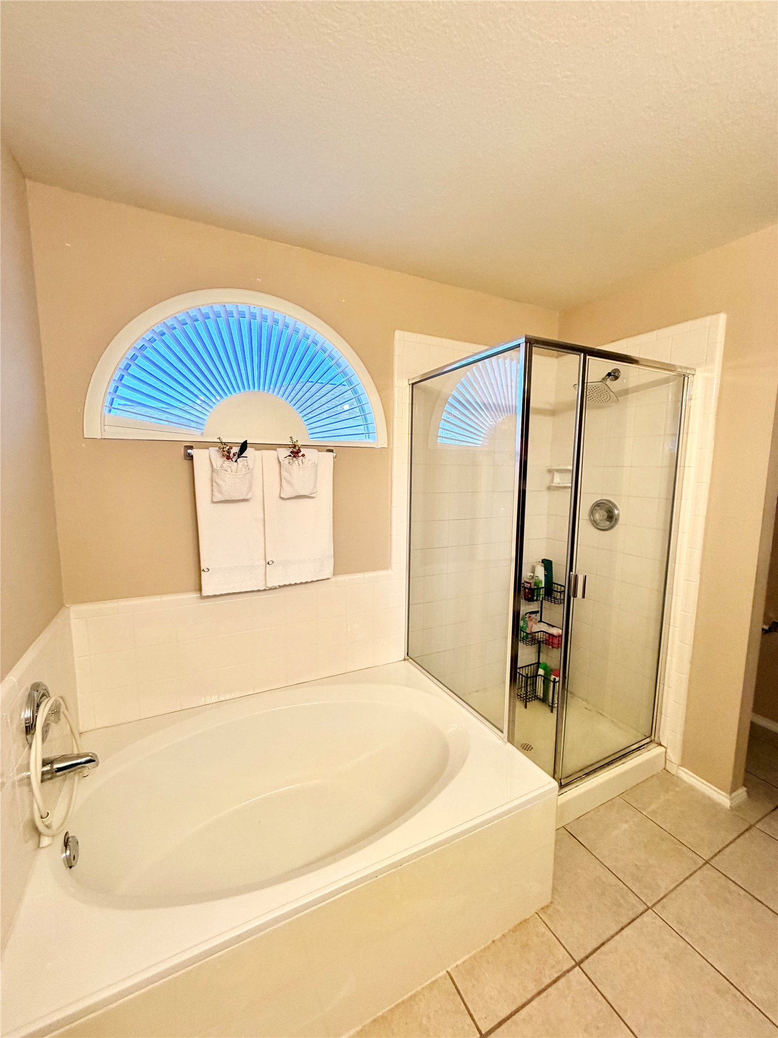 2233 Hickory Drive Little Elm TX 75068