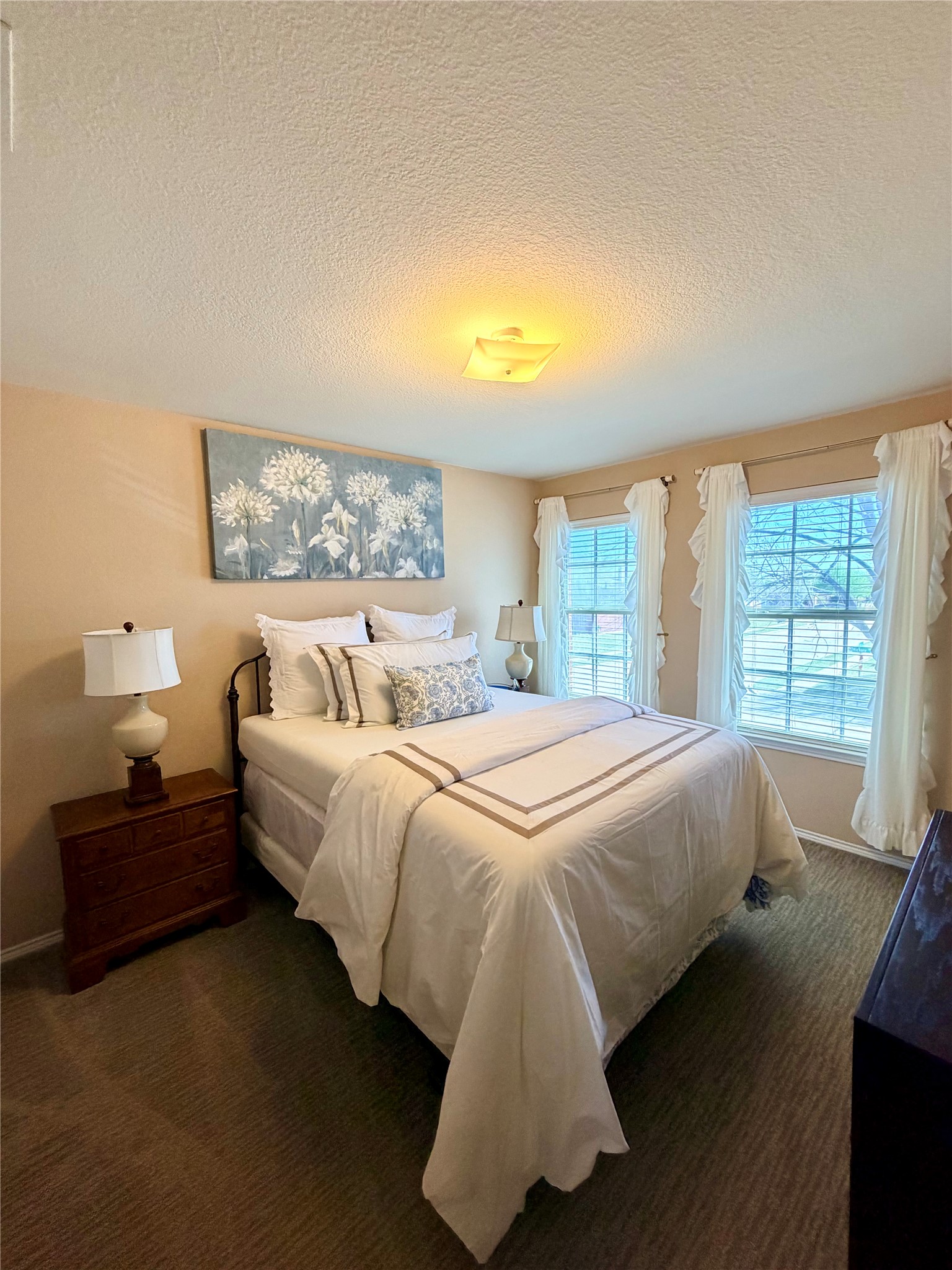 2233 Hickory Drive Little Elm TX 75068