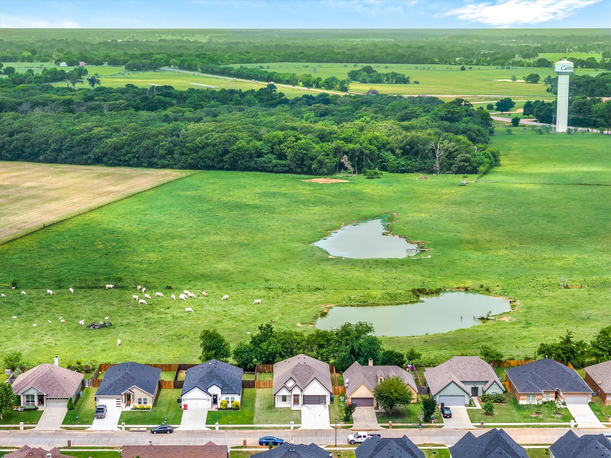 1868 Meadowview Canton TX 75103