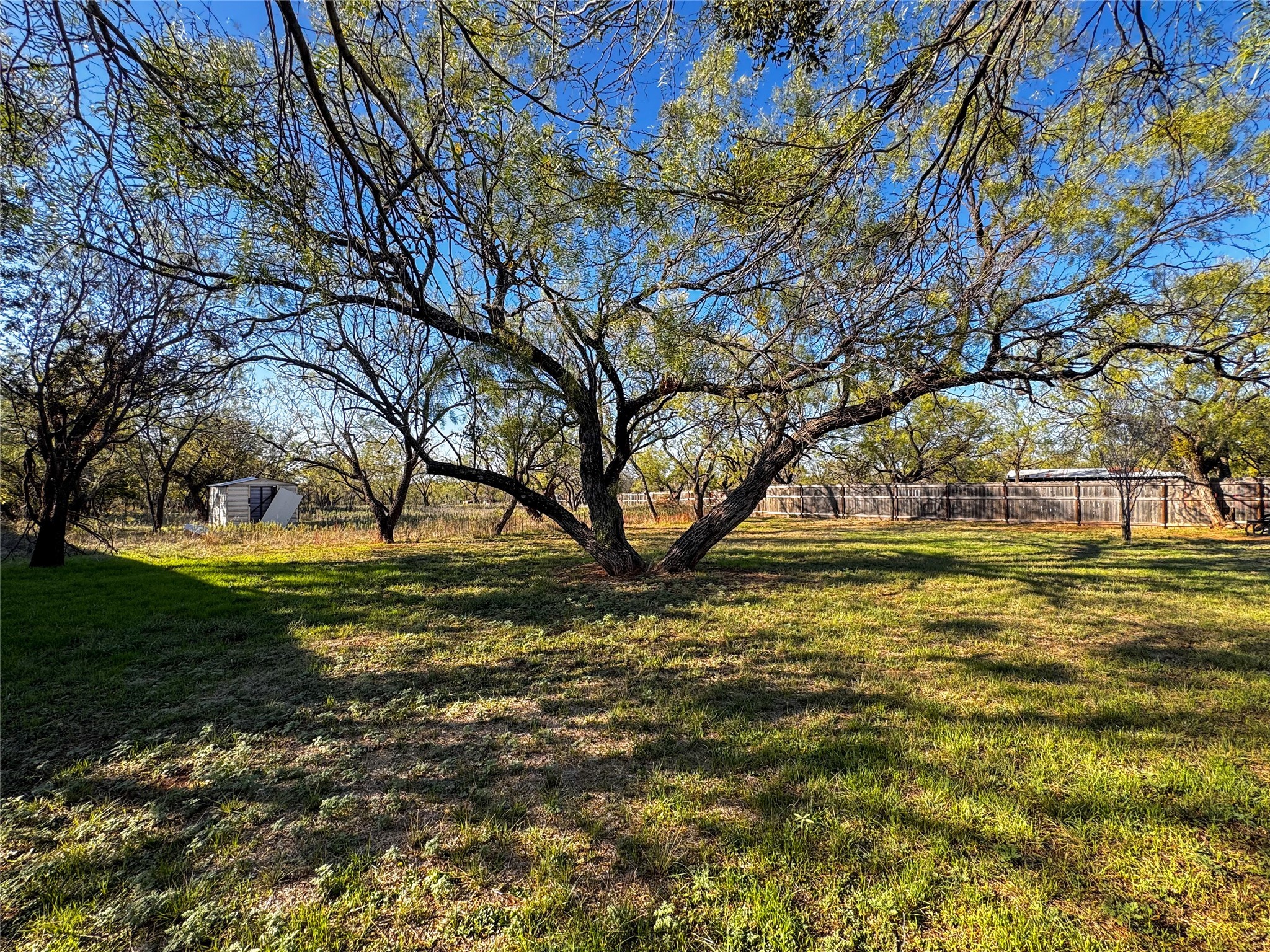 2430 Maple Street Abilene TX 79602