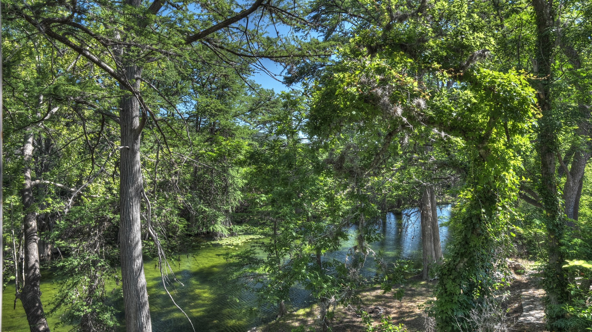 187 N Roy Chisum Road Leakey TX 78873