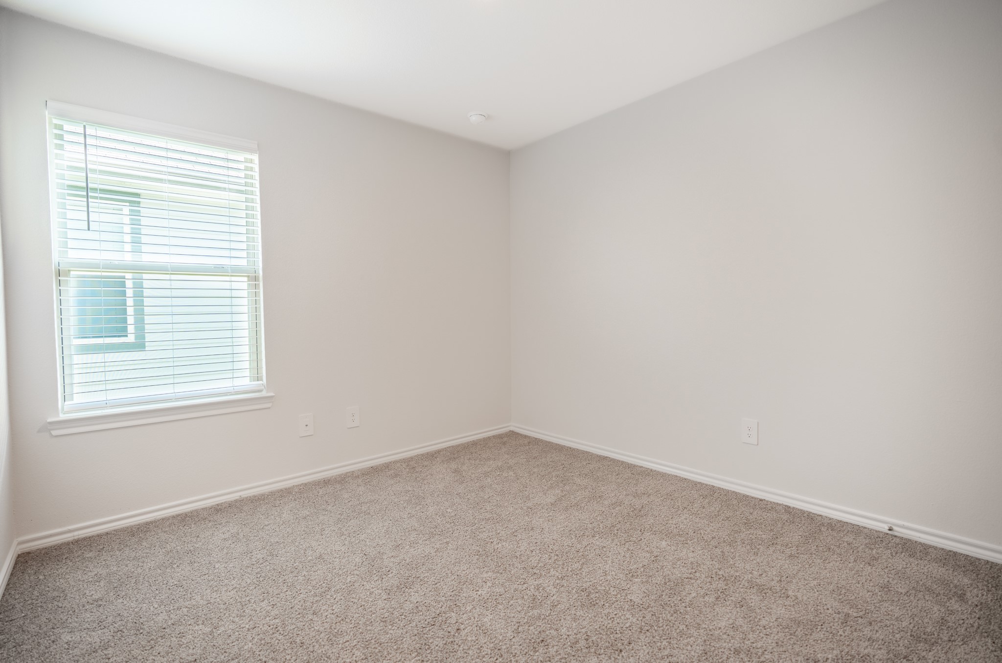 232 Vitex Drive Royse City TX 75189