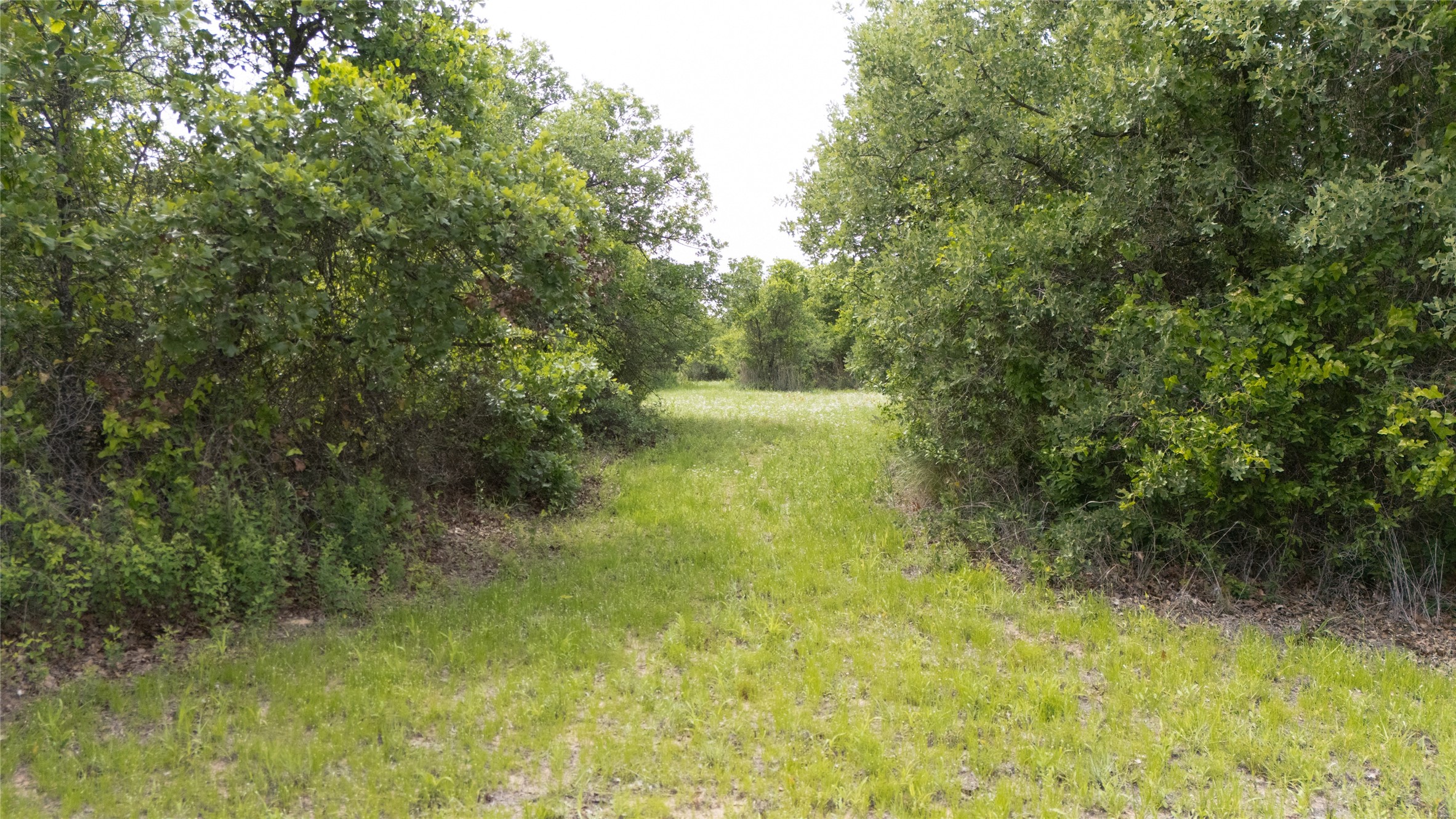 901 Fm2700 Clyde TX 79510