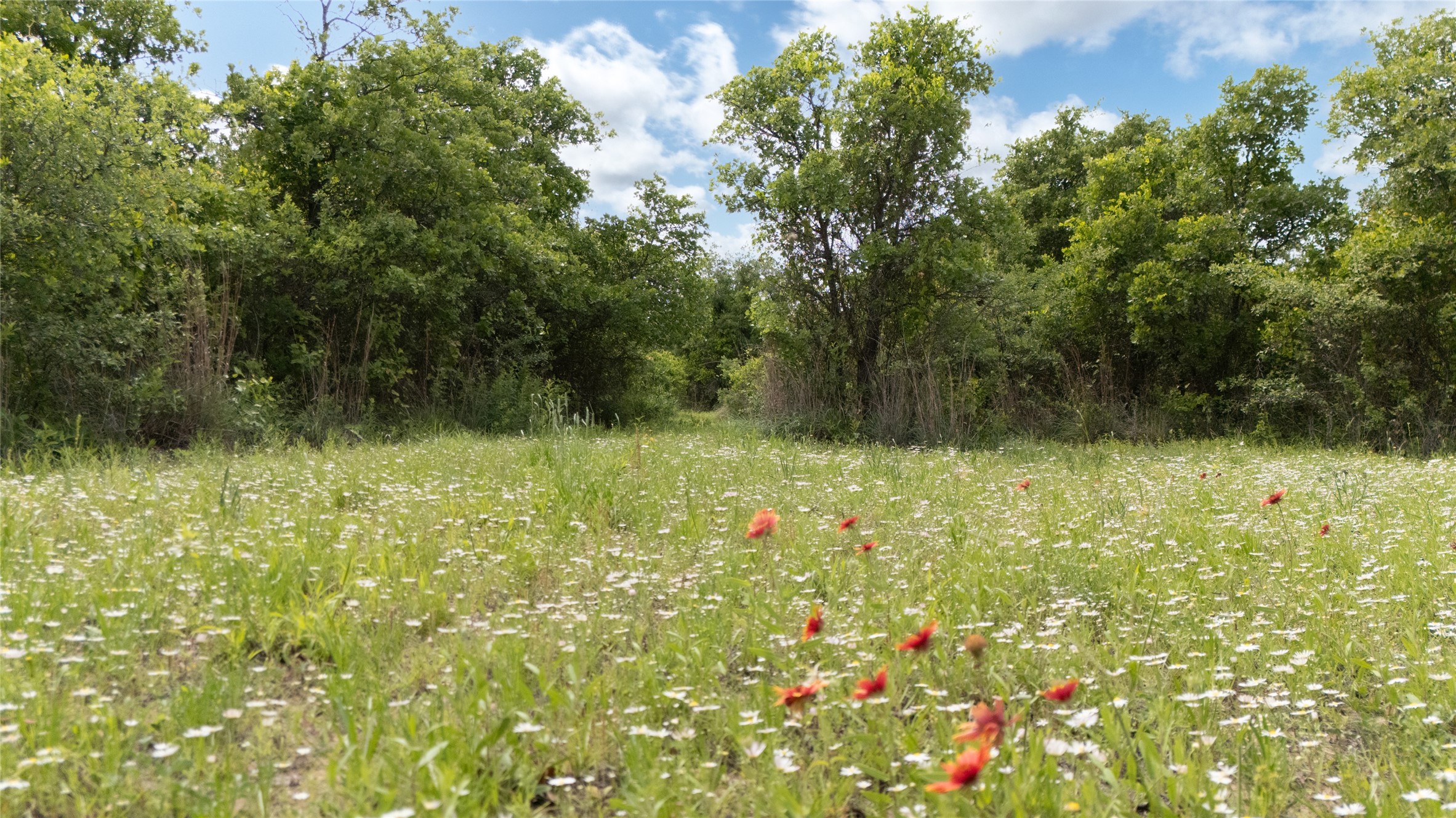 901 Fm2700 Clyde TX 79510
