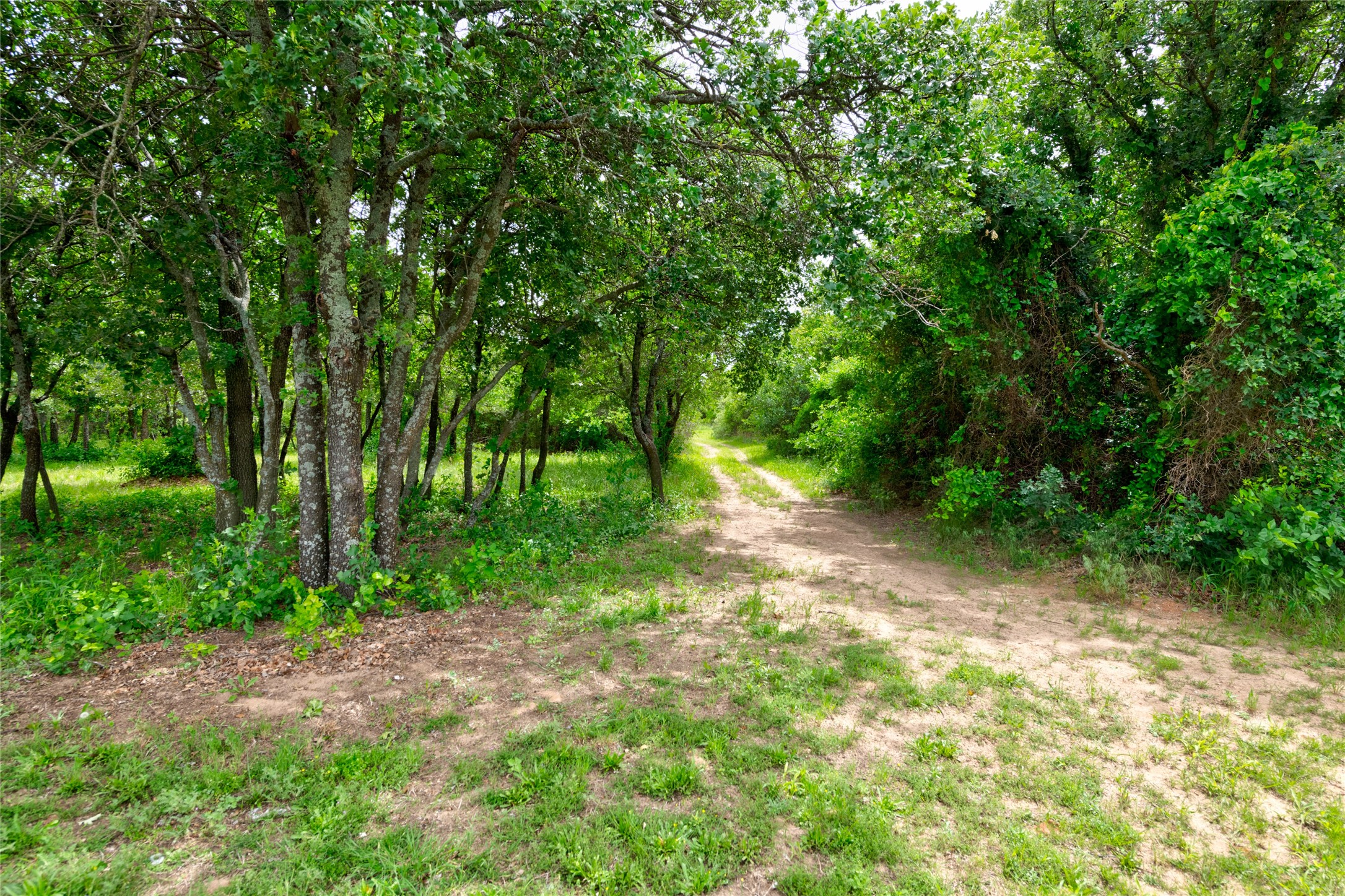 901 Fm2700 Clyde TX 79510