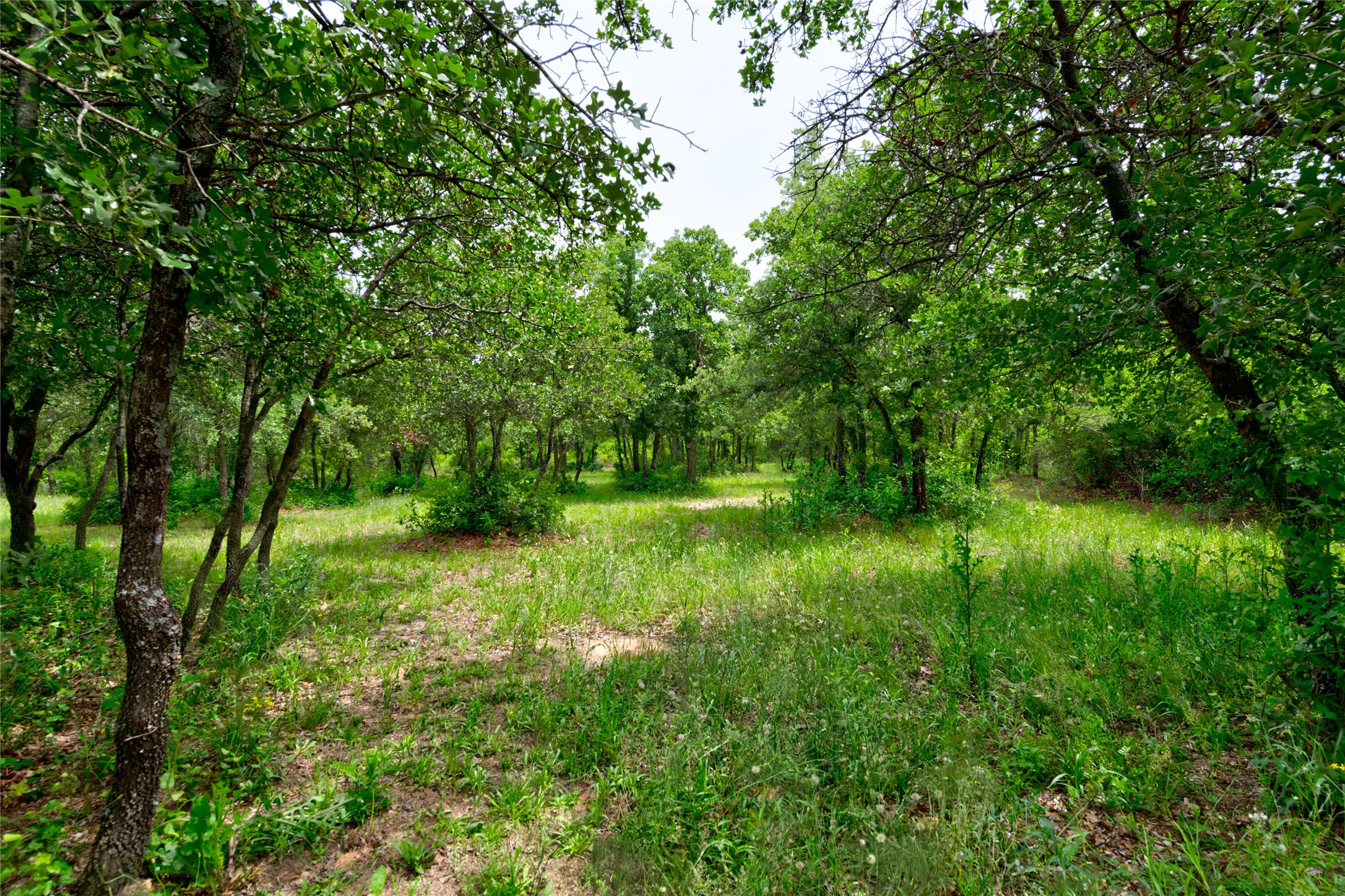 901 Fm2700 Clyde TX 79510