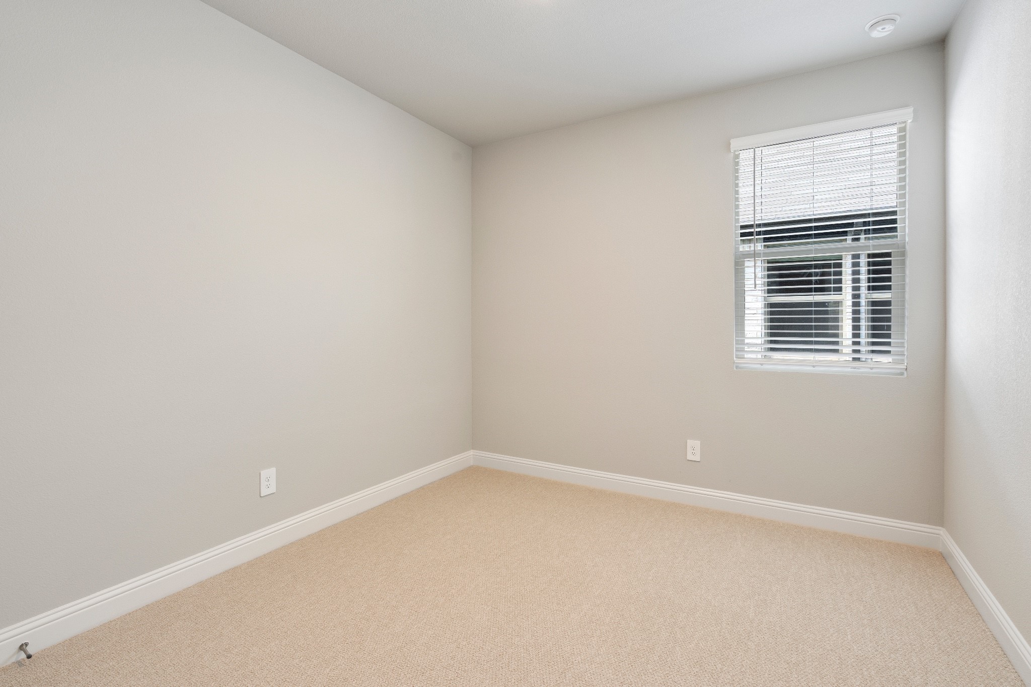 4006 Granbury Drive Farmersville TX 75442