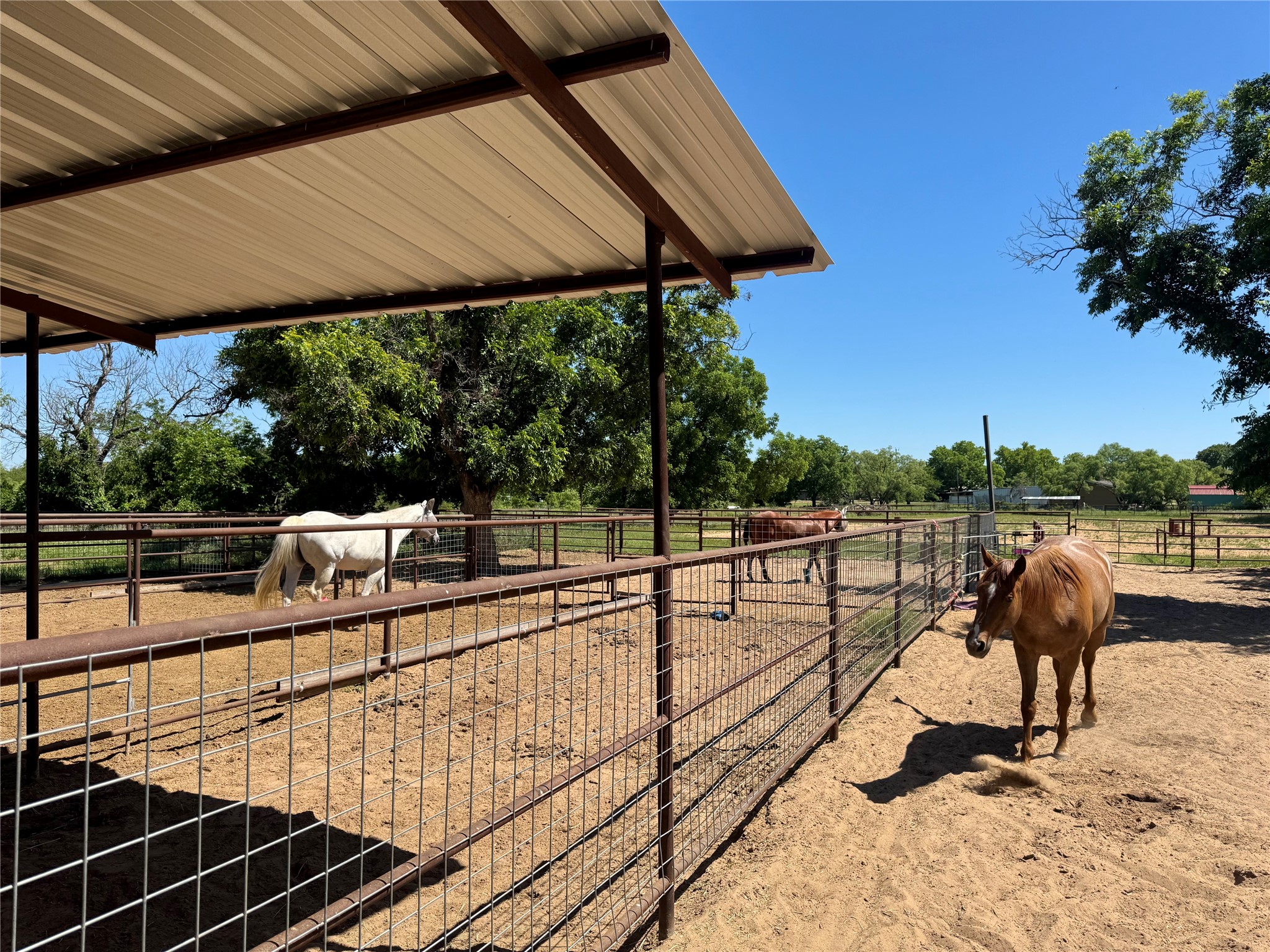 507 Hawk Lane Clyde TX 79510