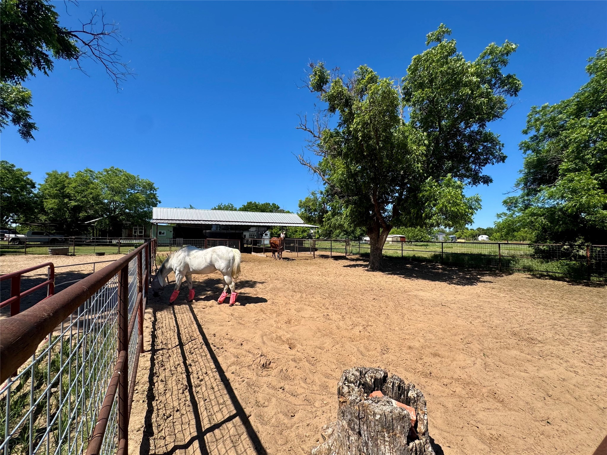 507 Hawk Lane Clyde TX 79510