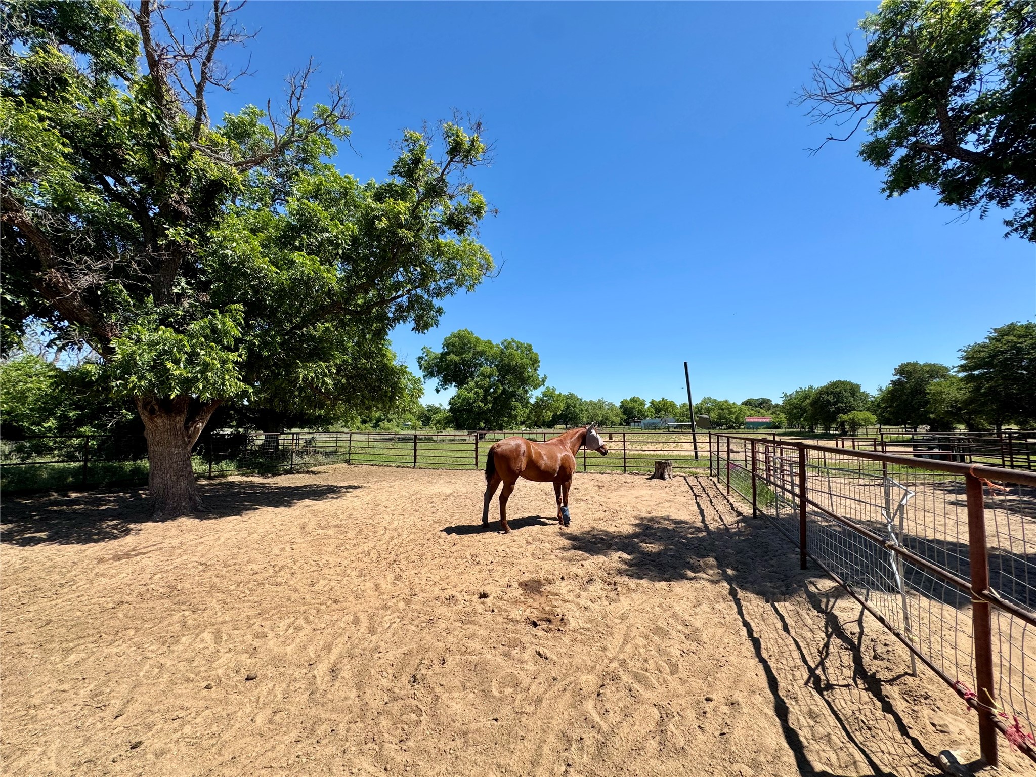 507 Hawk Lane Clyde TX 79510