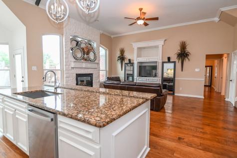 189 Bricknell Lane Coppell TX 75019