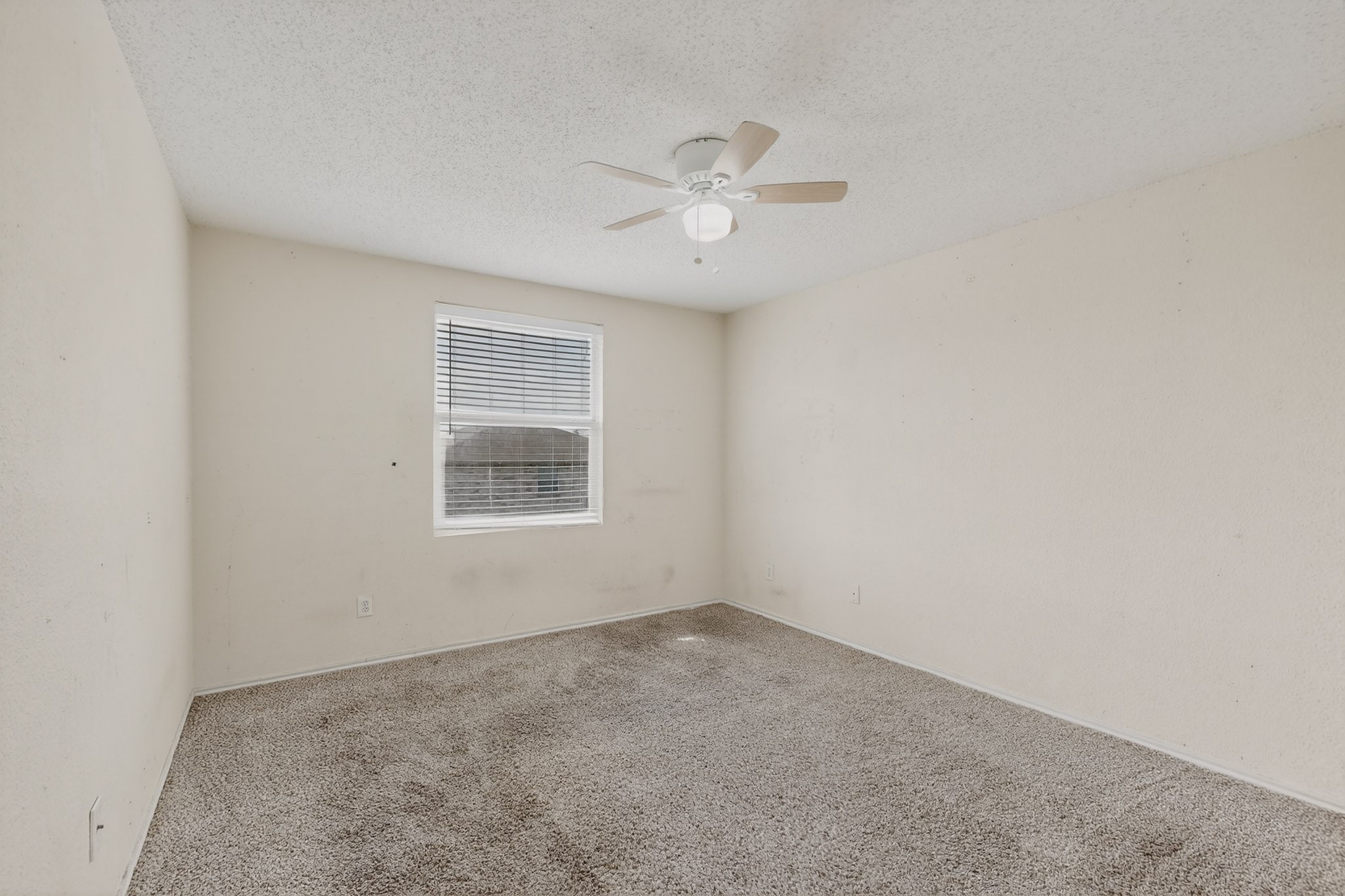 602 Flooded Gum Street Arlington TX 76002