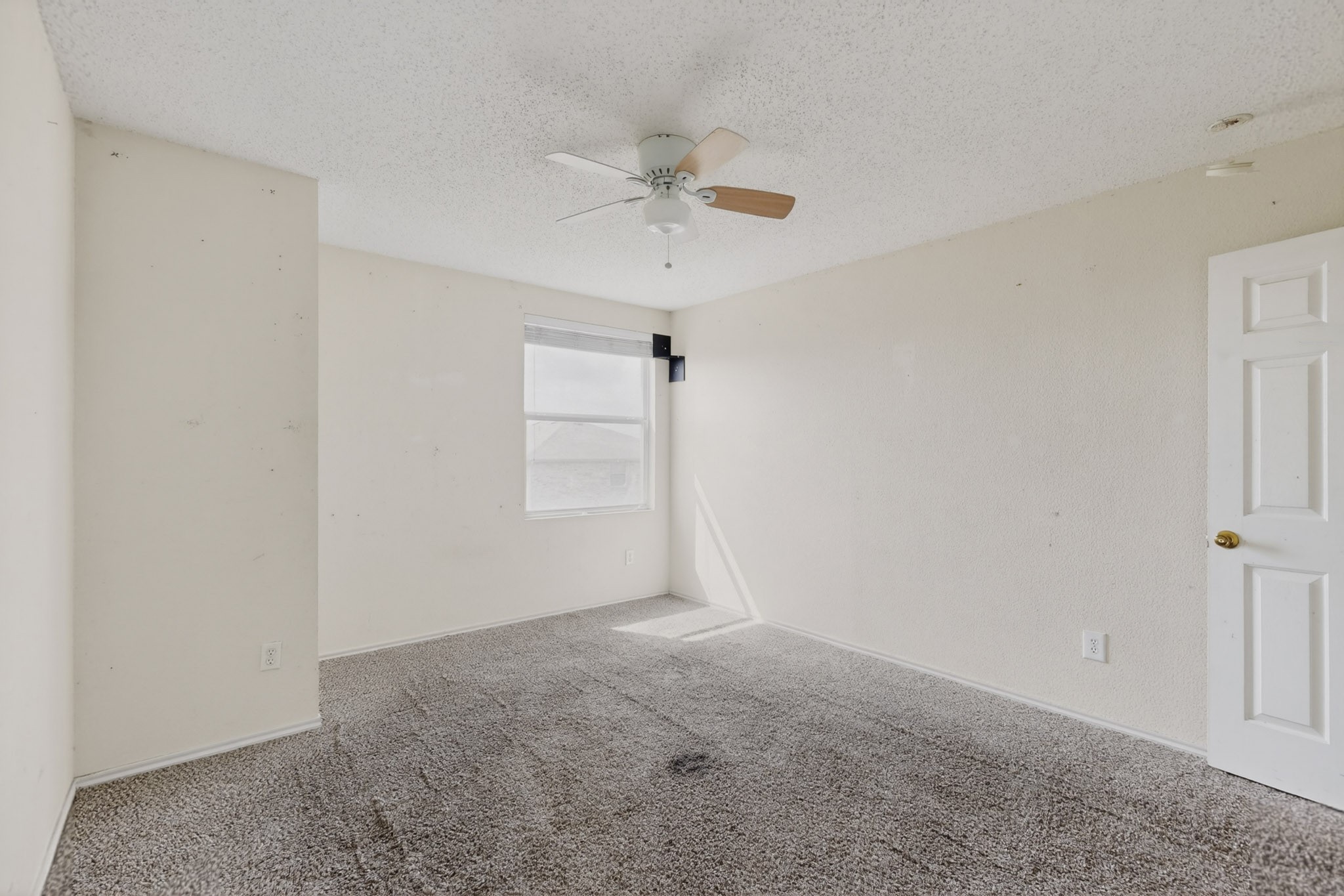 602 Flooded Gum Street Arlington TX 76002