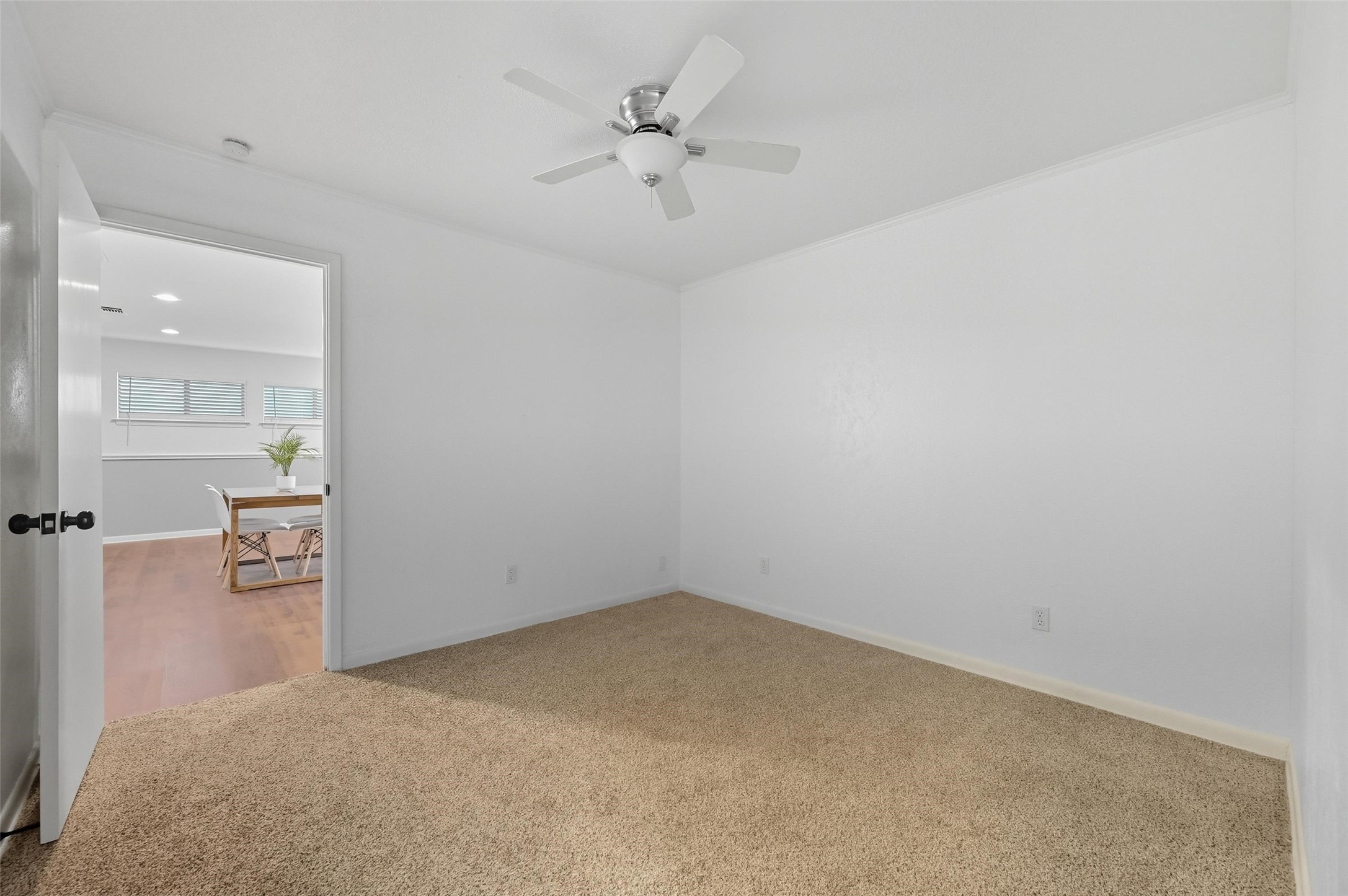 1310 W Cedar Street Arlington TX 76012