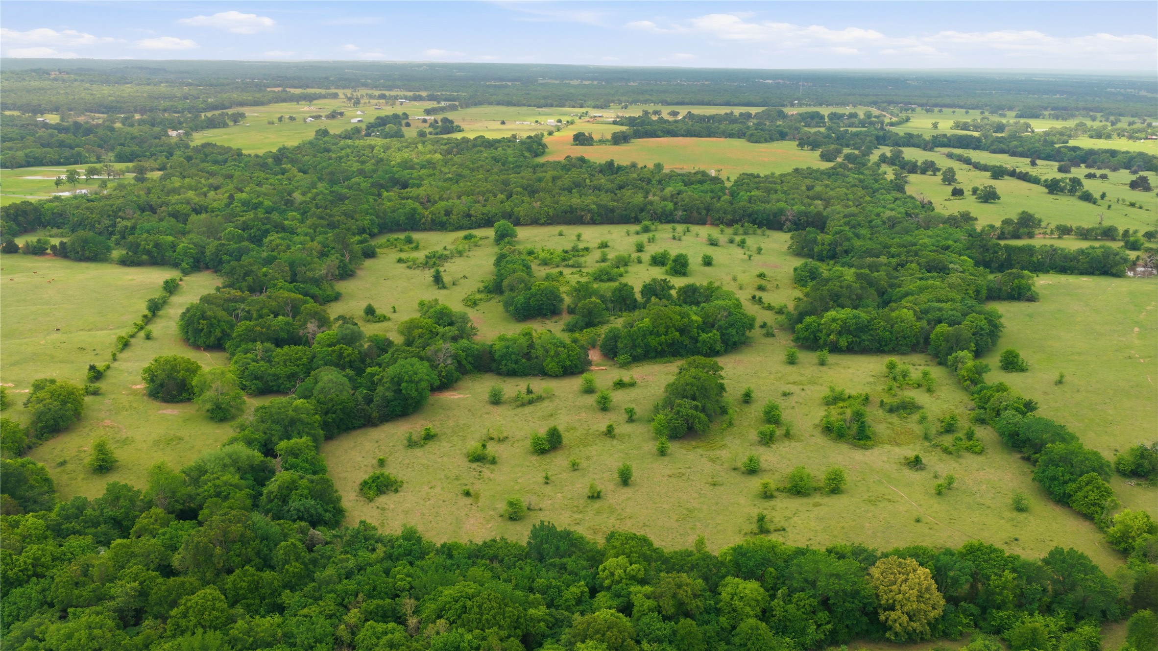 11222 County Road 1201 Malakoff TX 75148