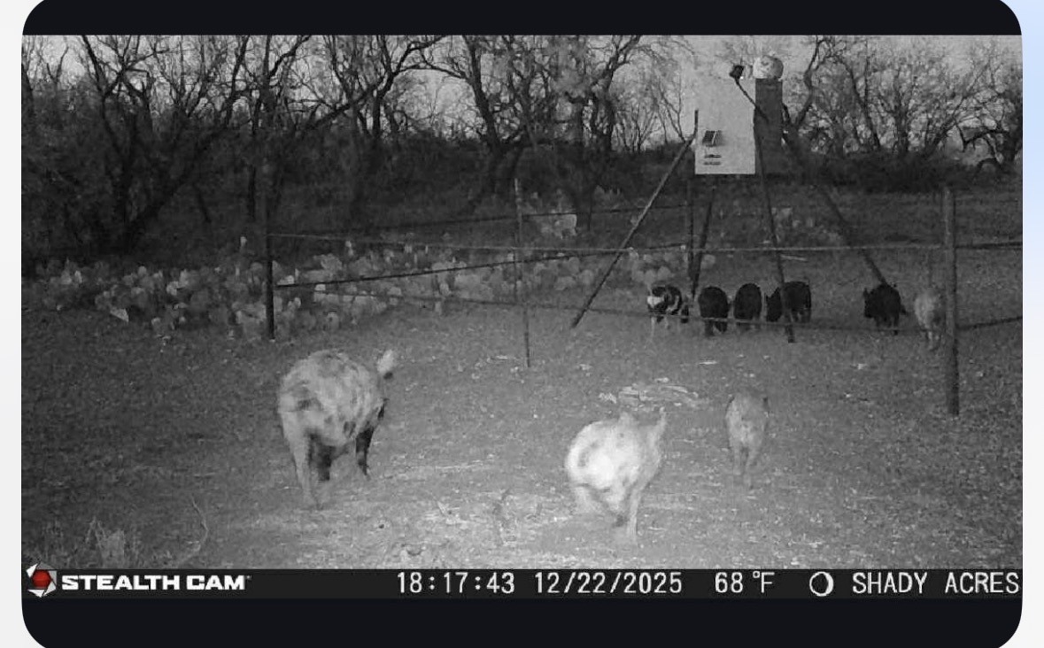 8108 Fm2111 Winters TX 79567