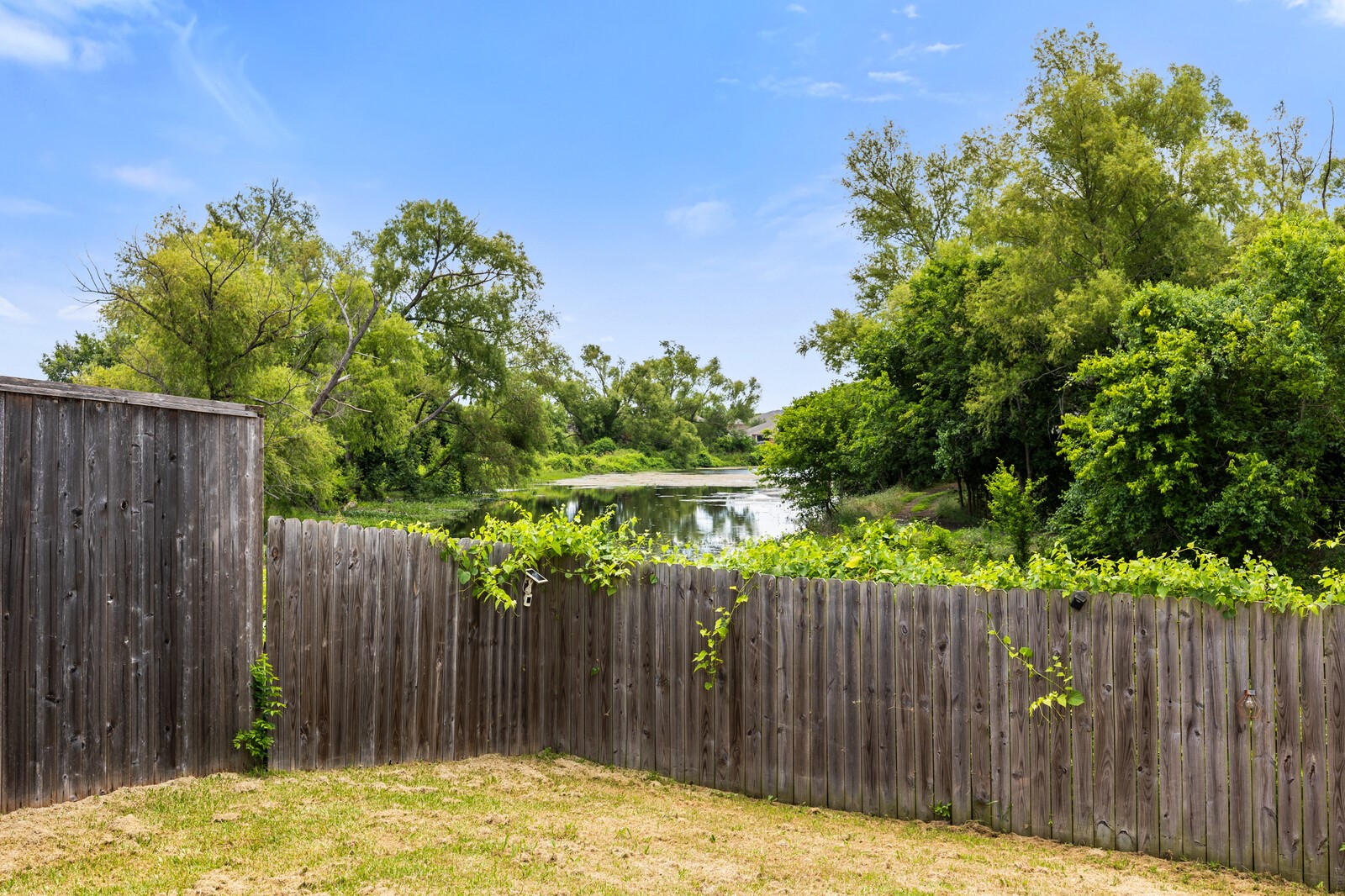 3156 Lippizan Street Robinson TX 76706