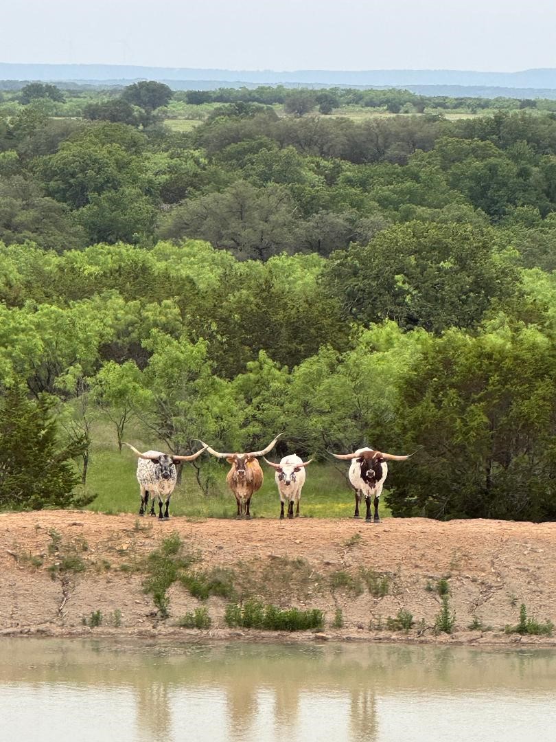 1473 Highway 16 S Strawn TX 76475