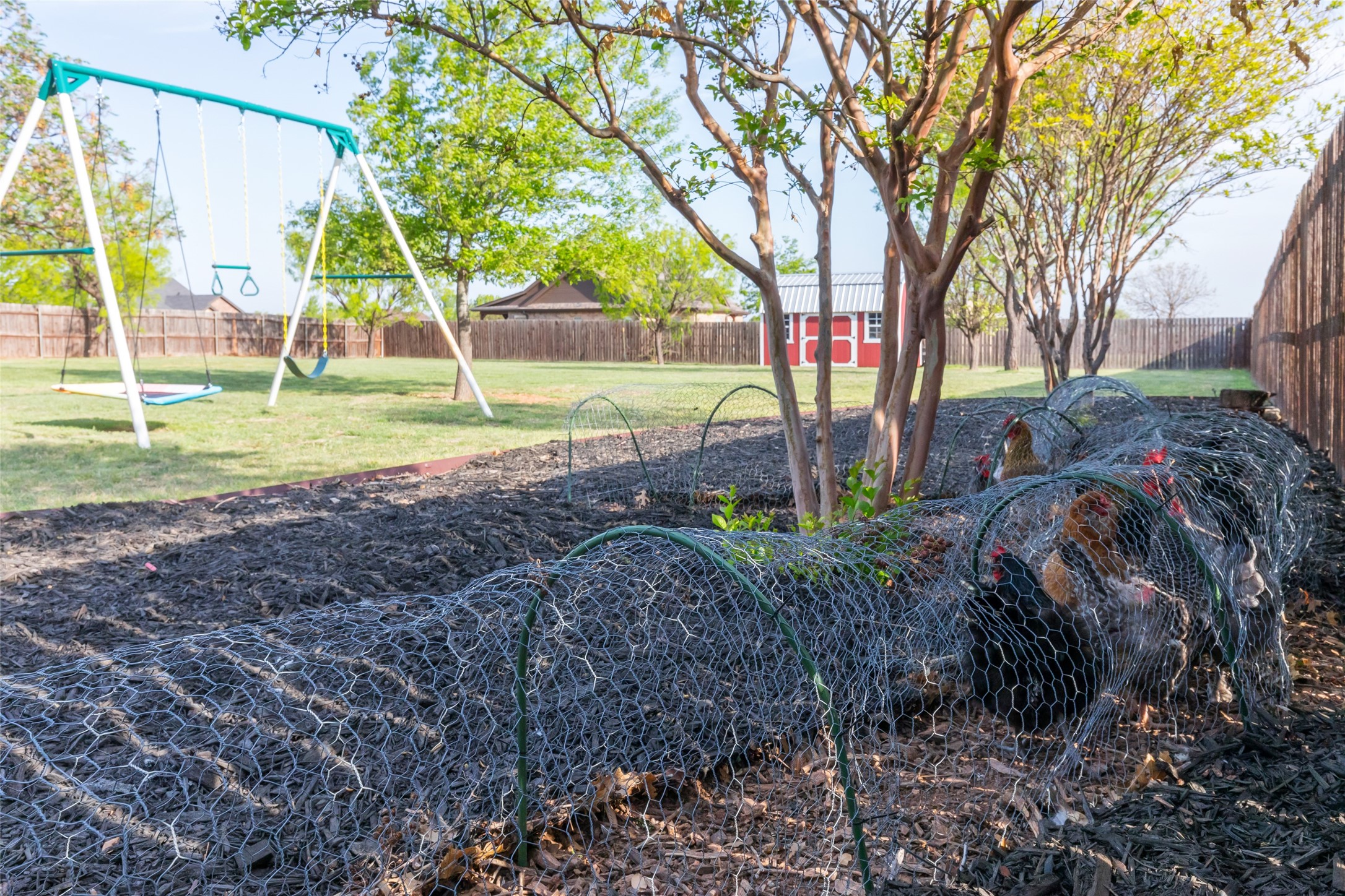 149 Mountain Meadow Drive Tuscola TX 79562