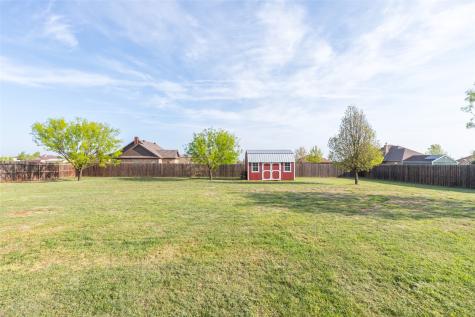 149 Mountain Meadow Drive Tuscola TX 79562