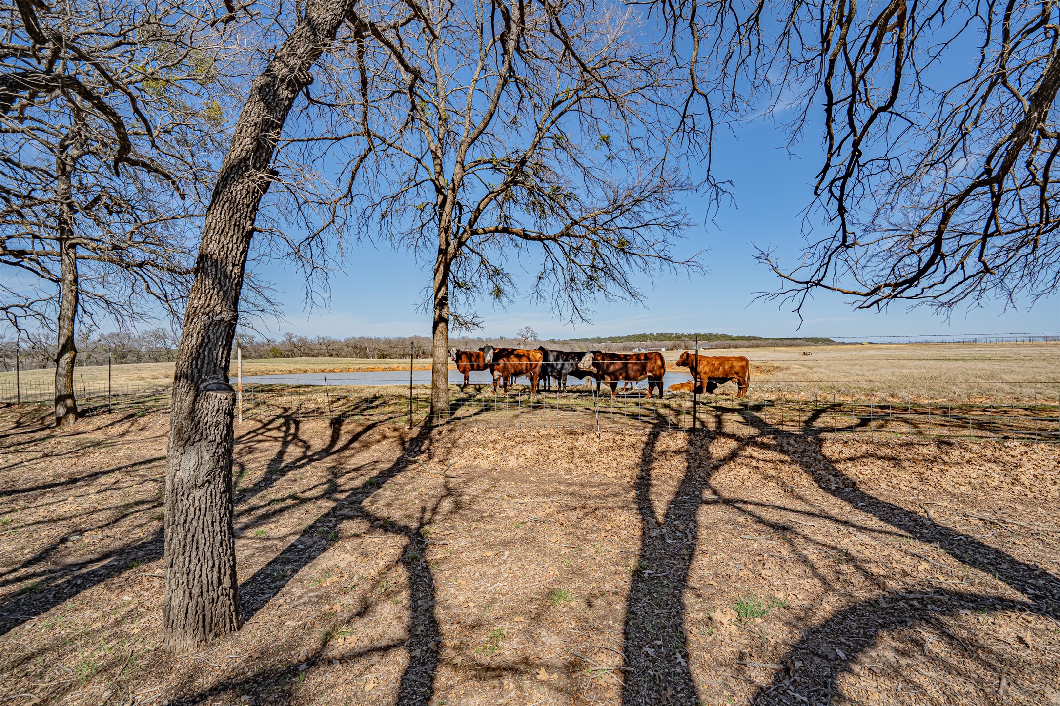 3250 Neri Road Granbury TX 76048